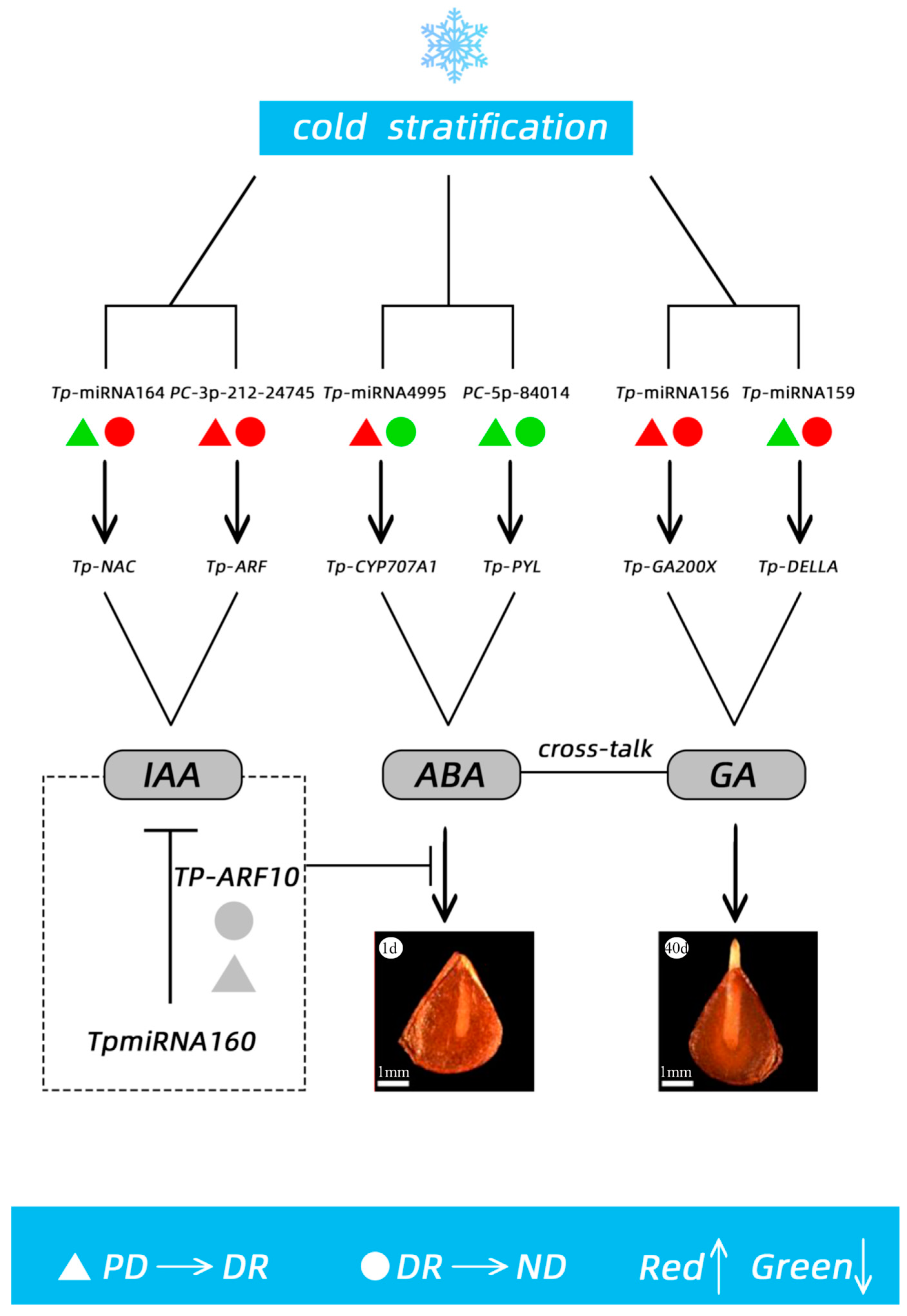 Agronomy 13 03067 g008