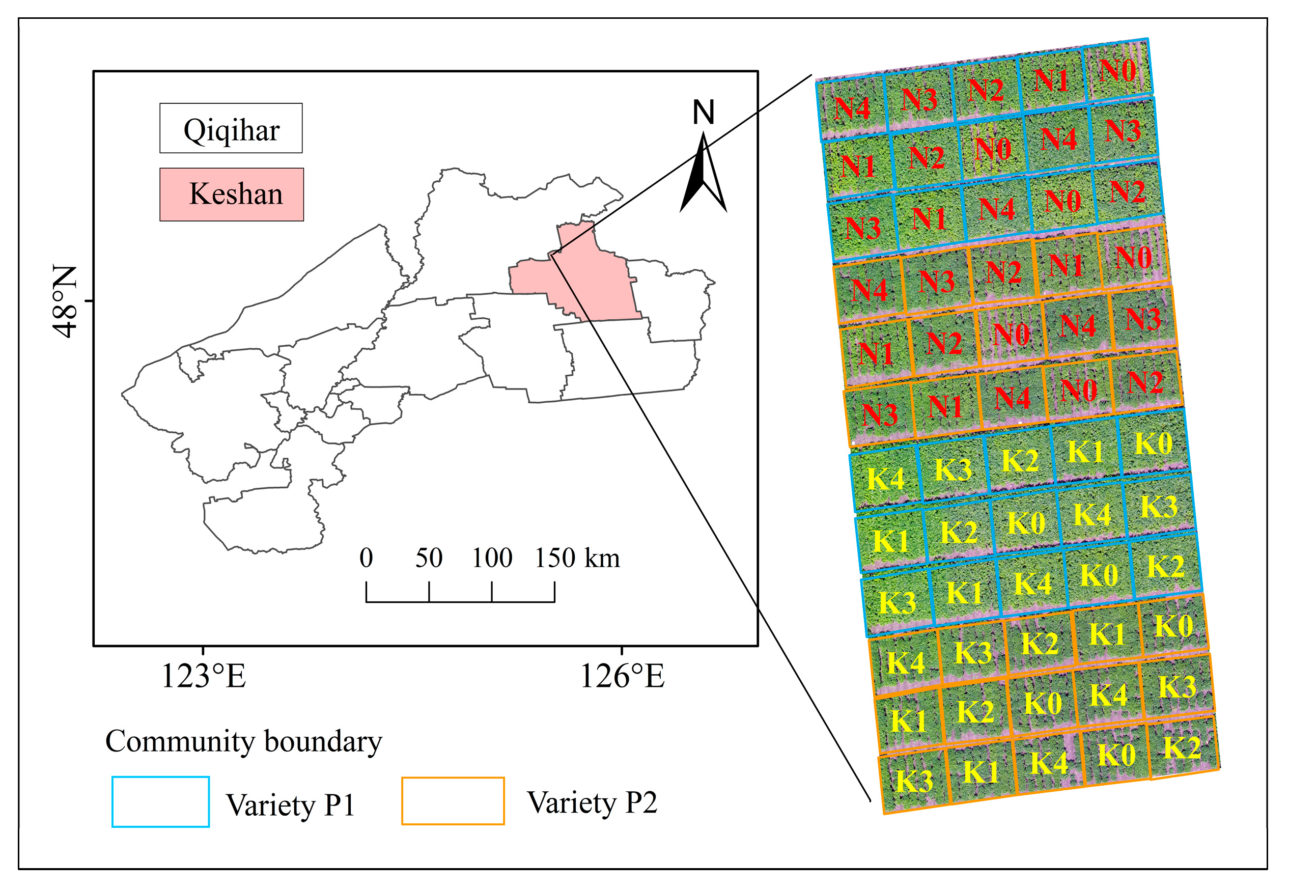 Agronomy 13 03071 g001