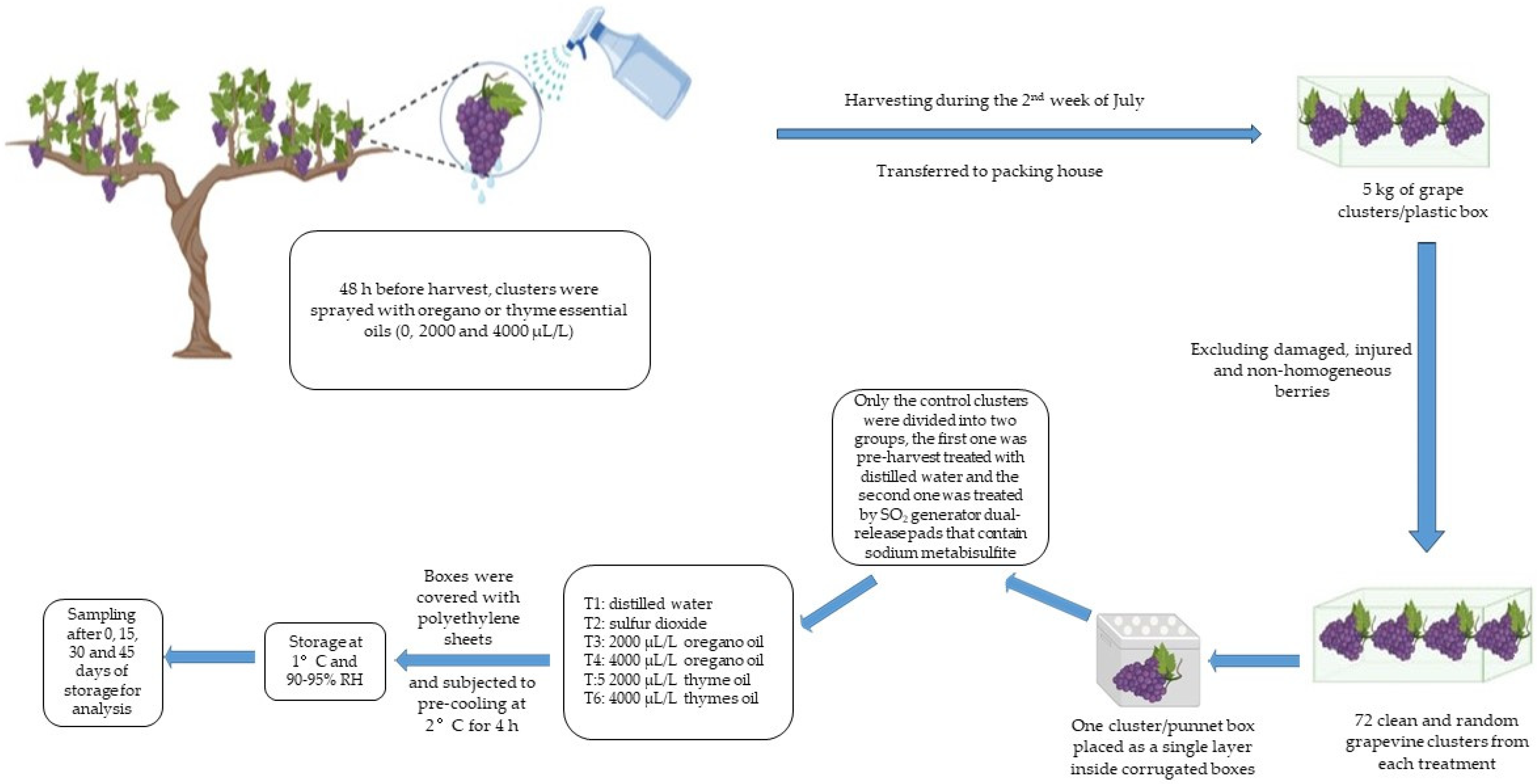 Agronomy 13 03075 g002
