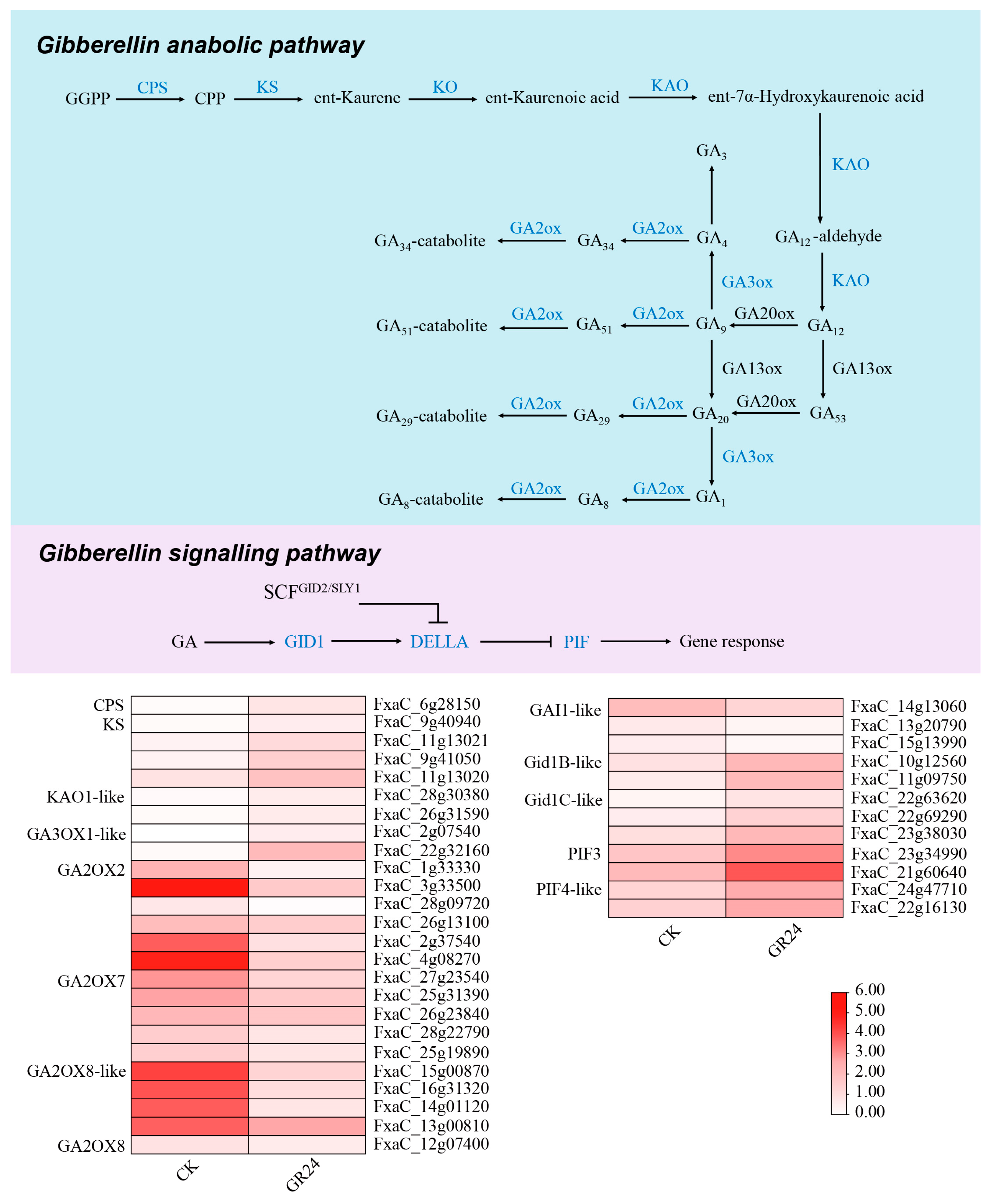 Agronomy 13 03078 g007