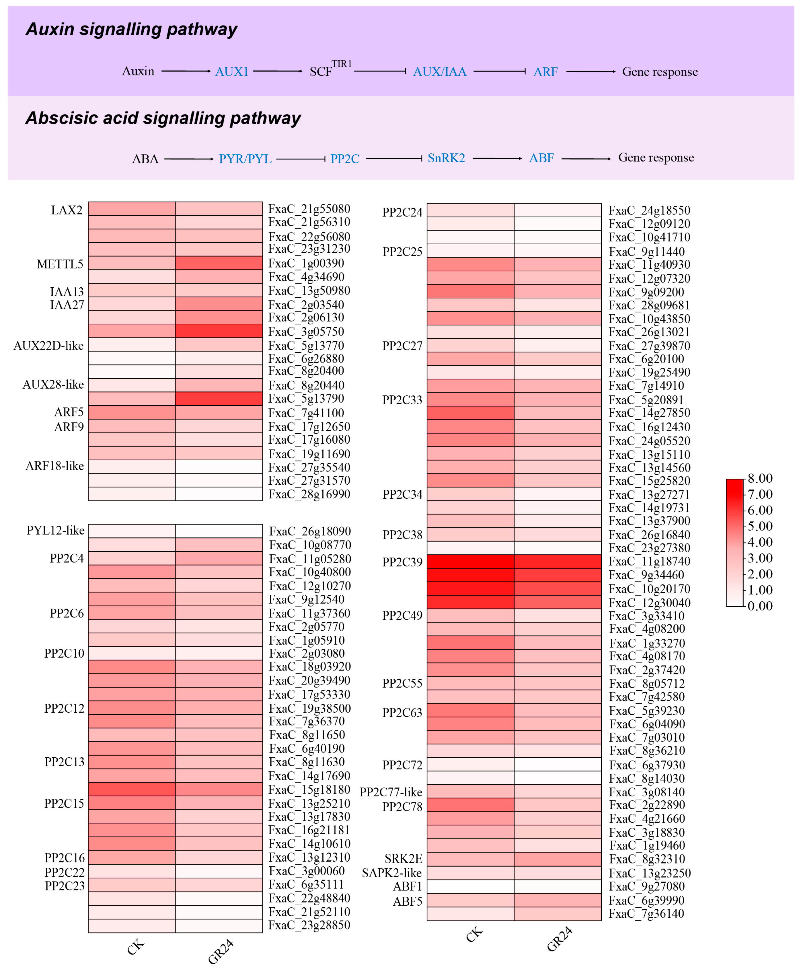 Agronomy 13 03078 g008