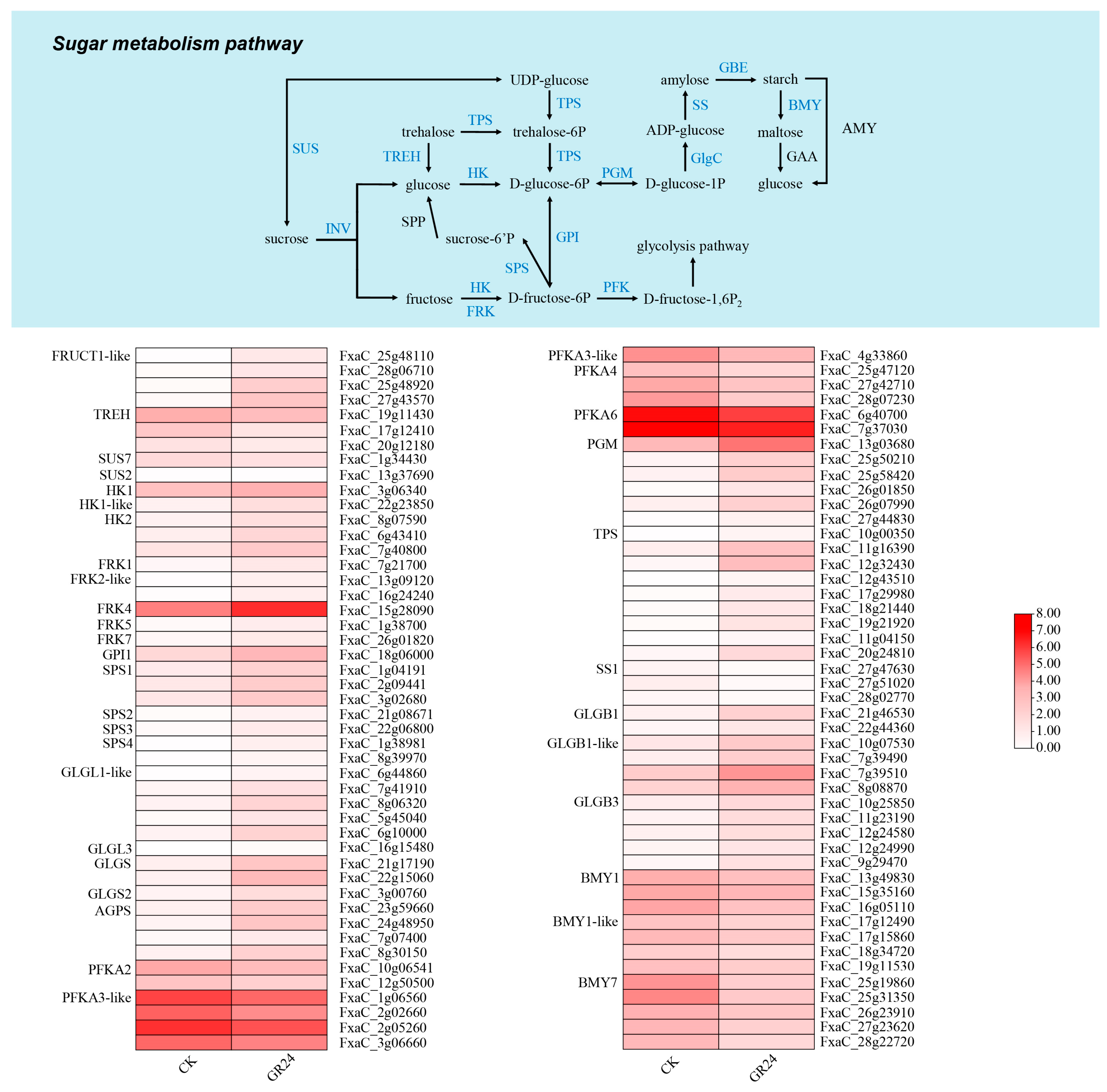 Agronomy 13 03078 g009