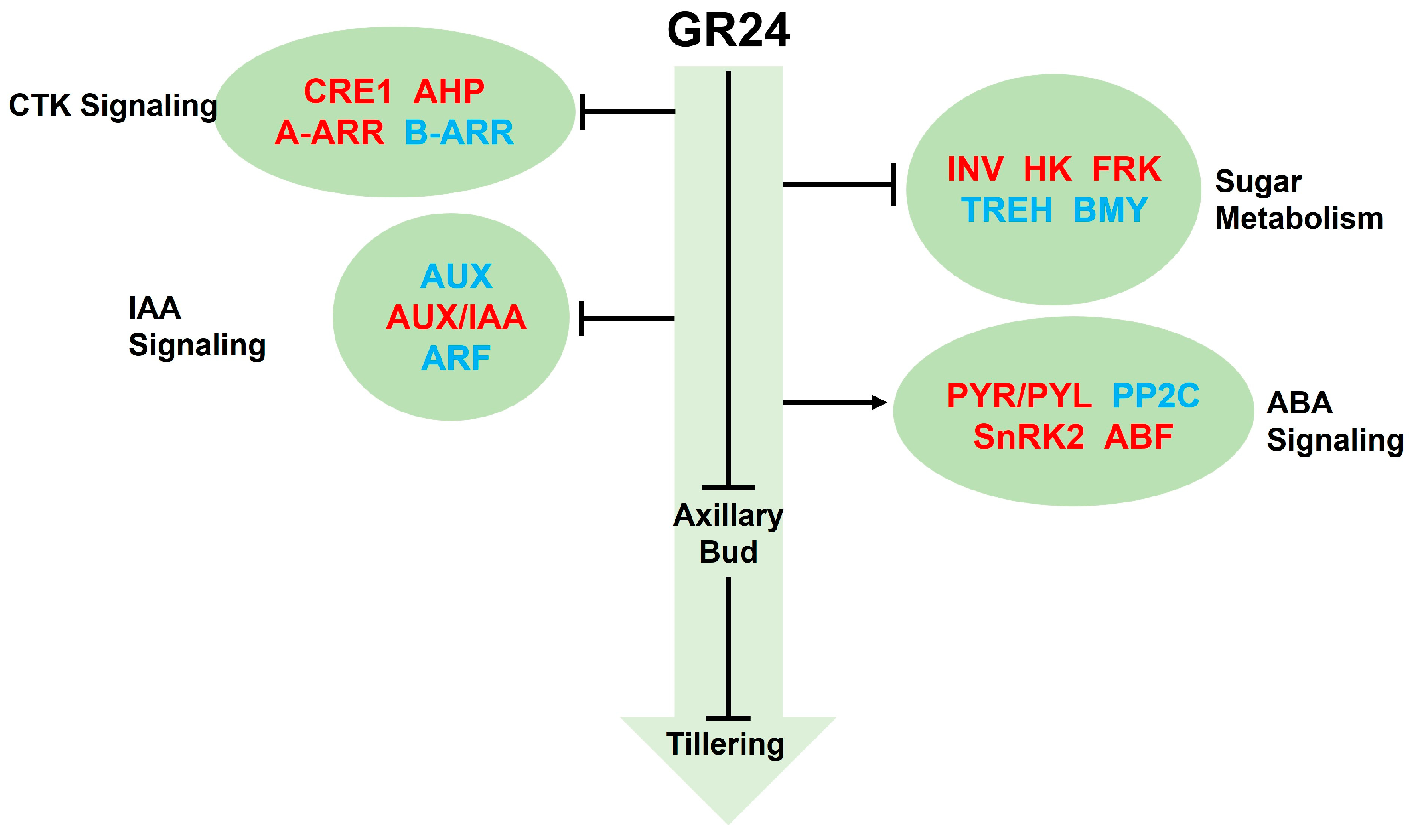 Agronomy 13 03078 g011