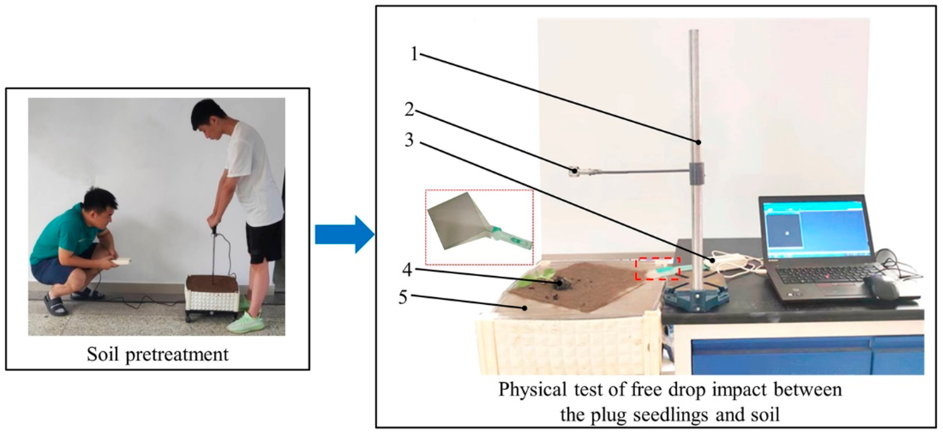 Agronomy 14 00004 g002