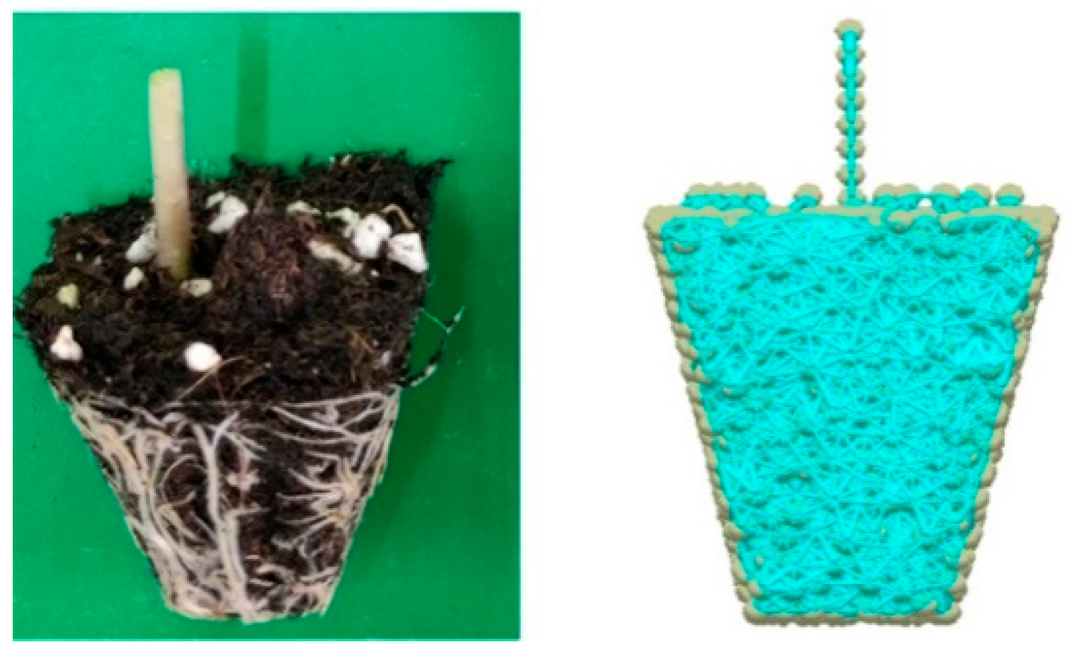 Agronomy 14 00004 g006