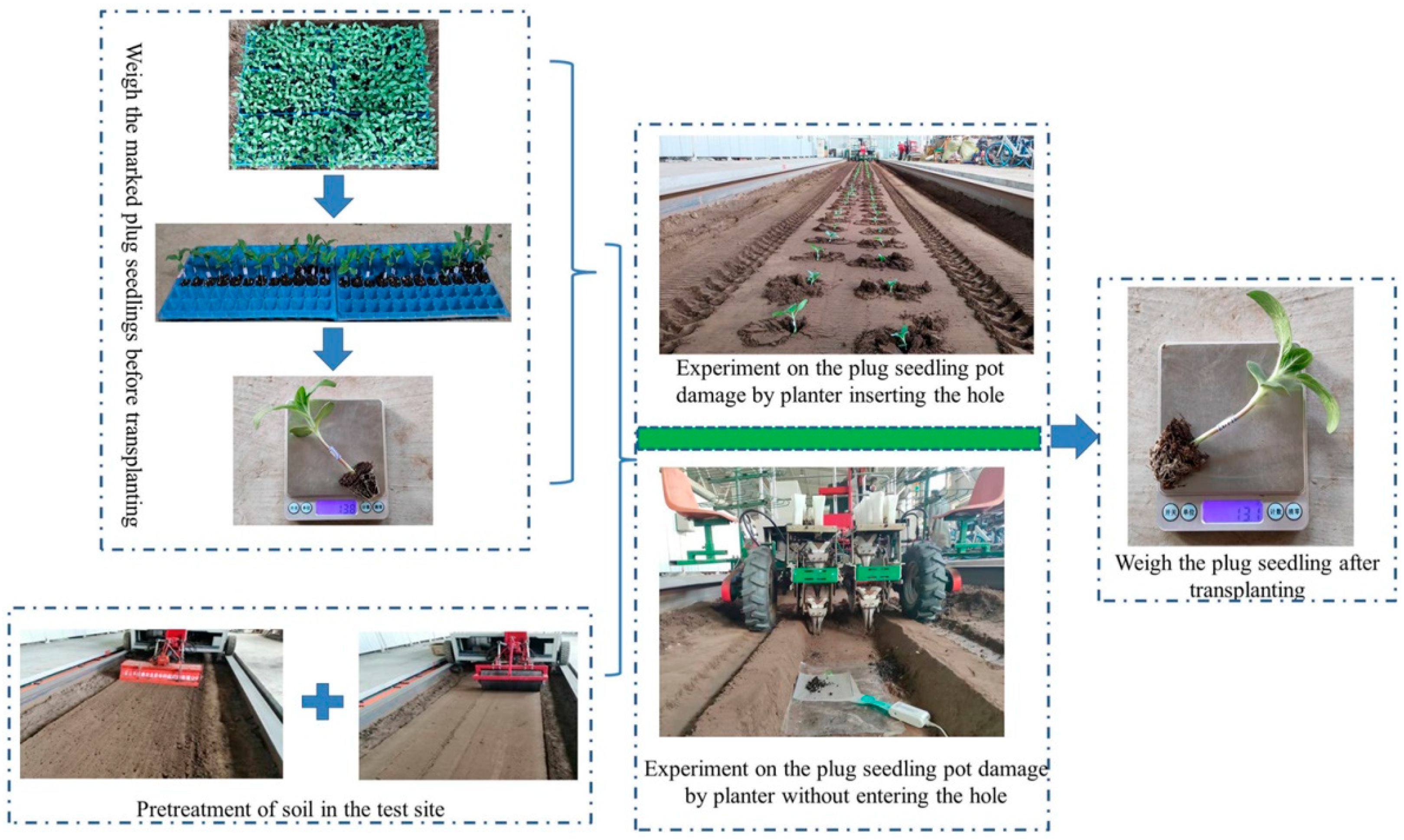 Agronomy 14 00004 g009