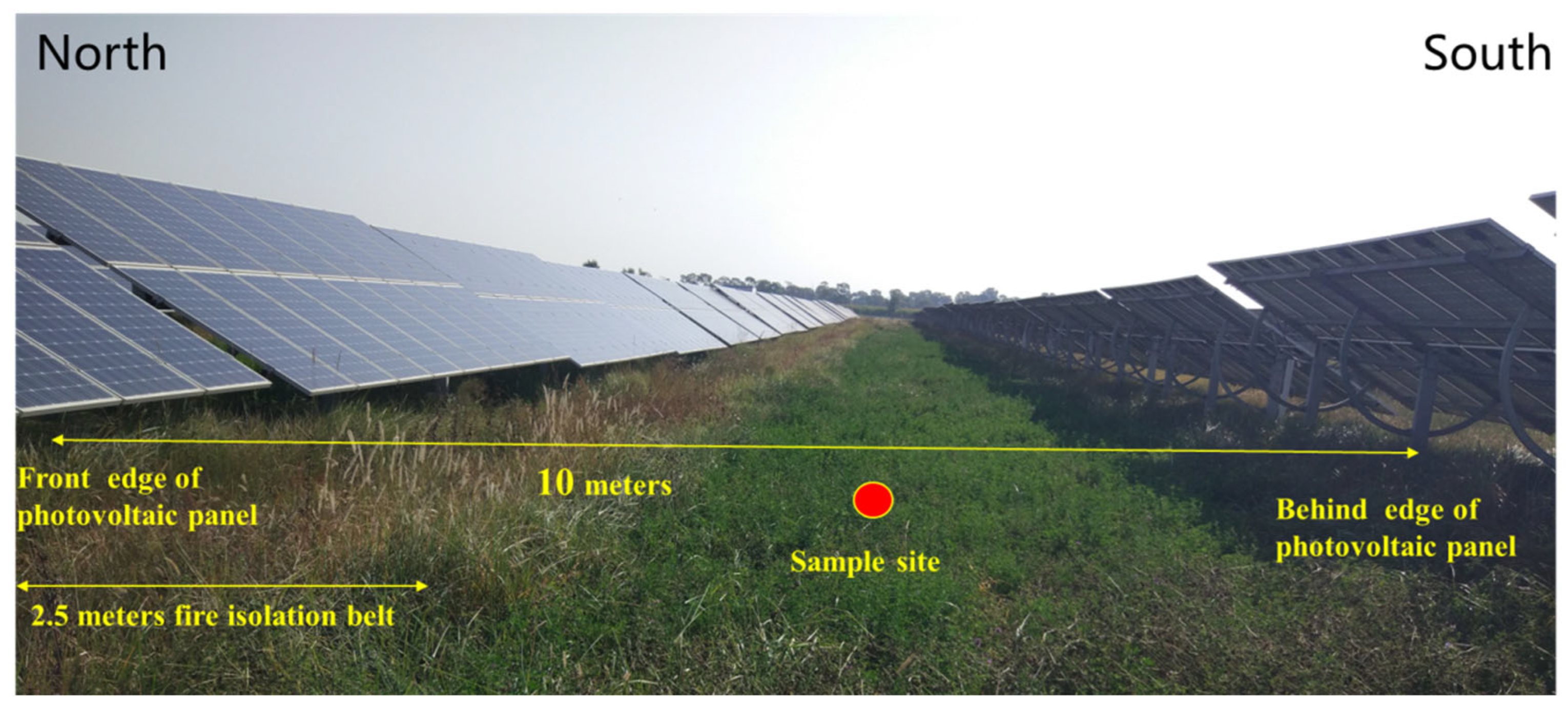 Agronomy 14 00009 g001 Agronomy 14 00009 g001