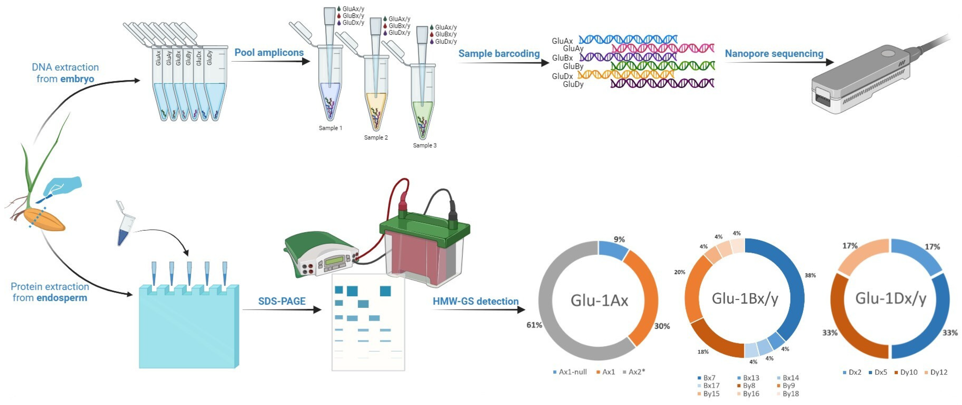 Agronomy 14 00013 g001