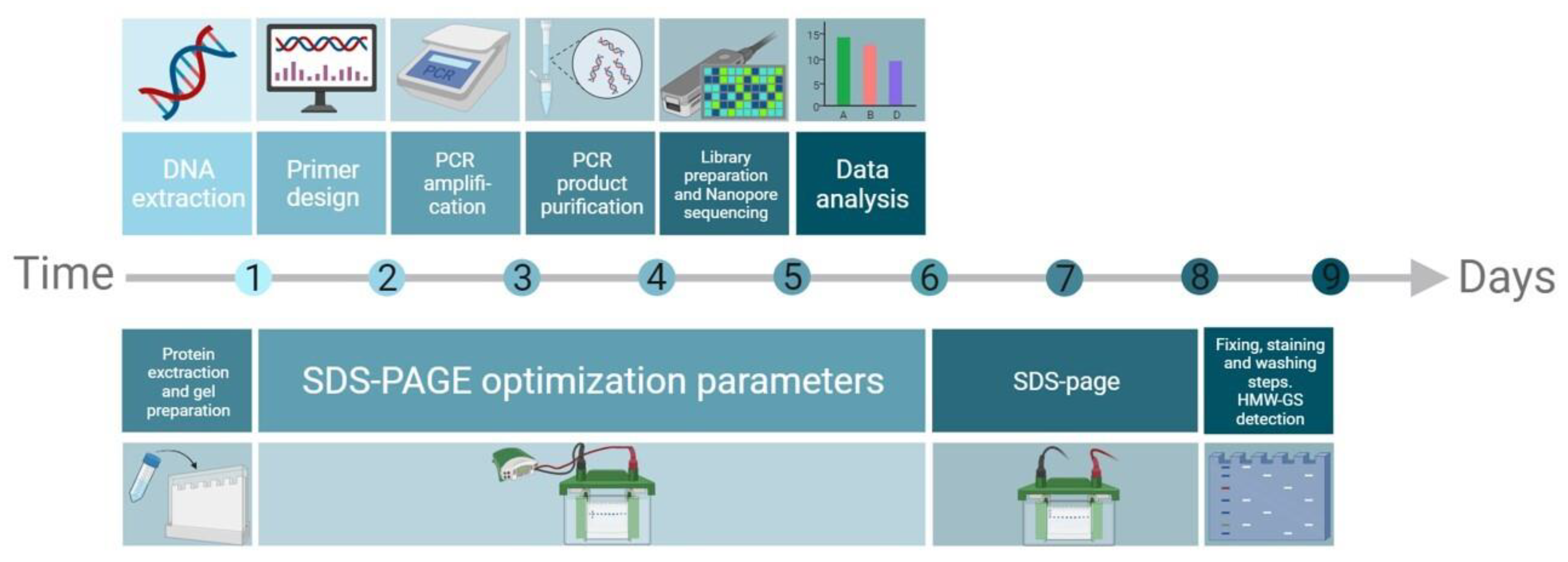 Agronomy 14 00013 g006