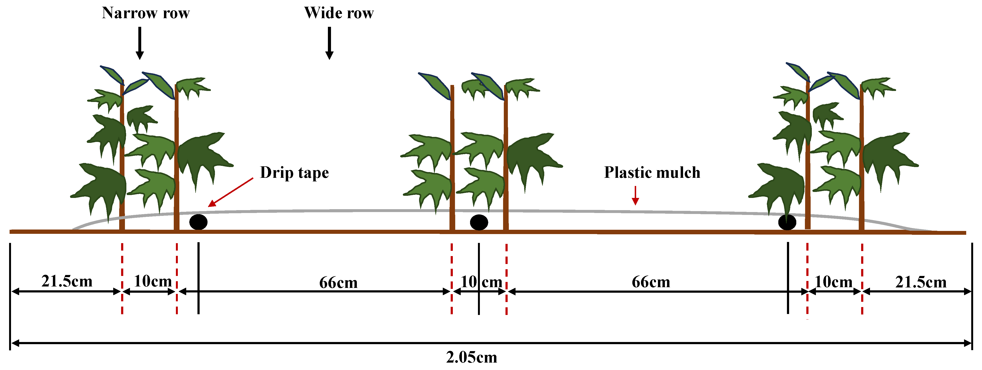Agronomy 14 00014 g002