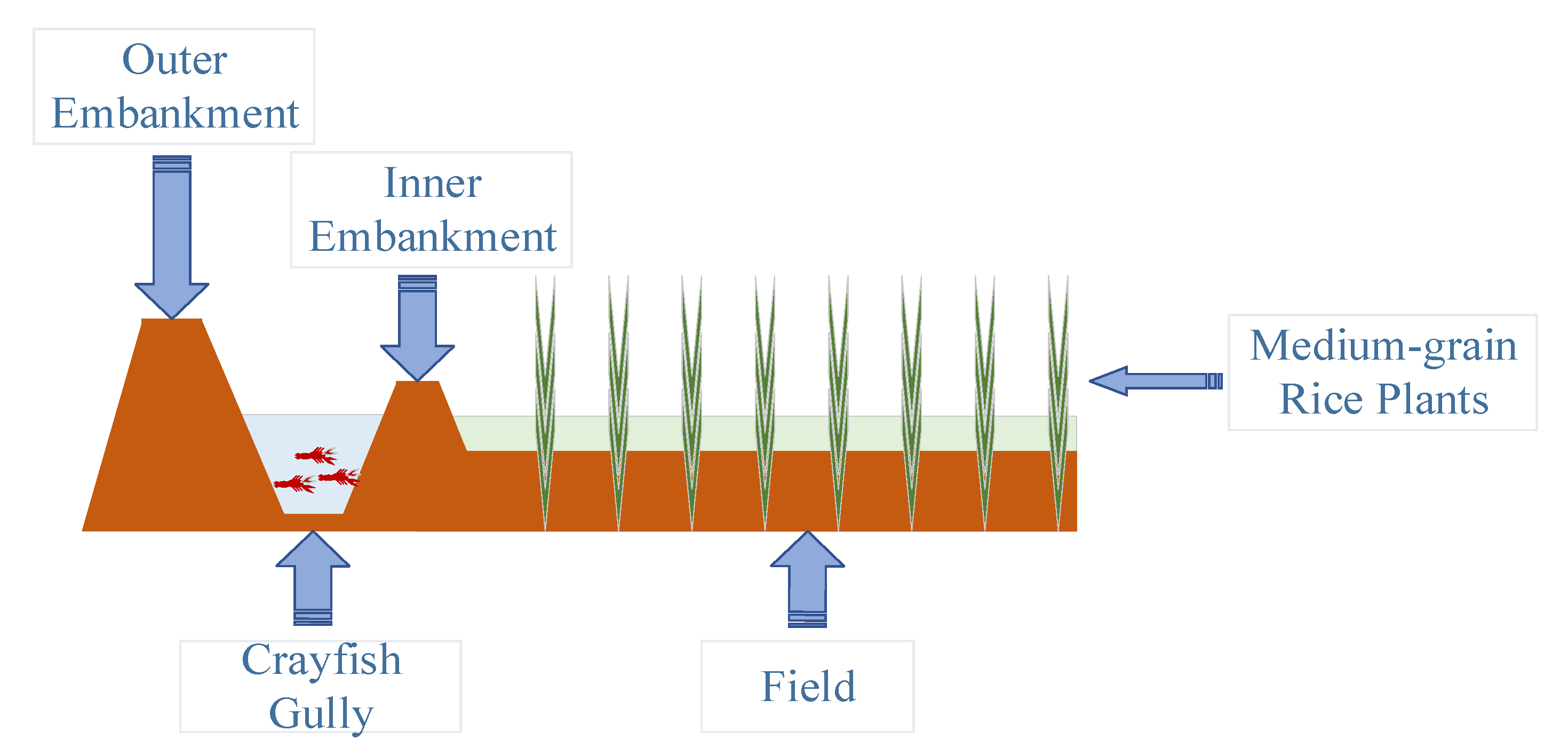 Agronomy 14 00016 g003
