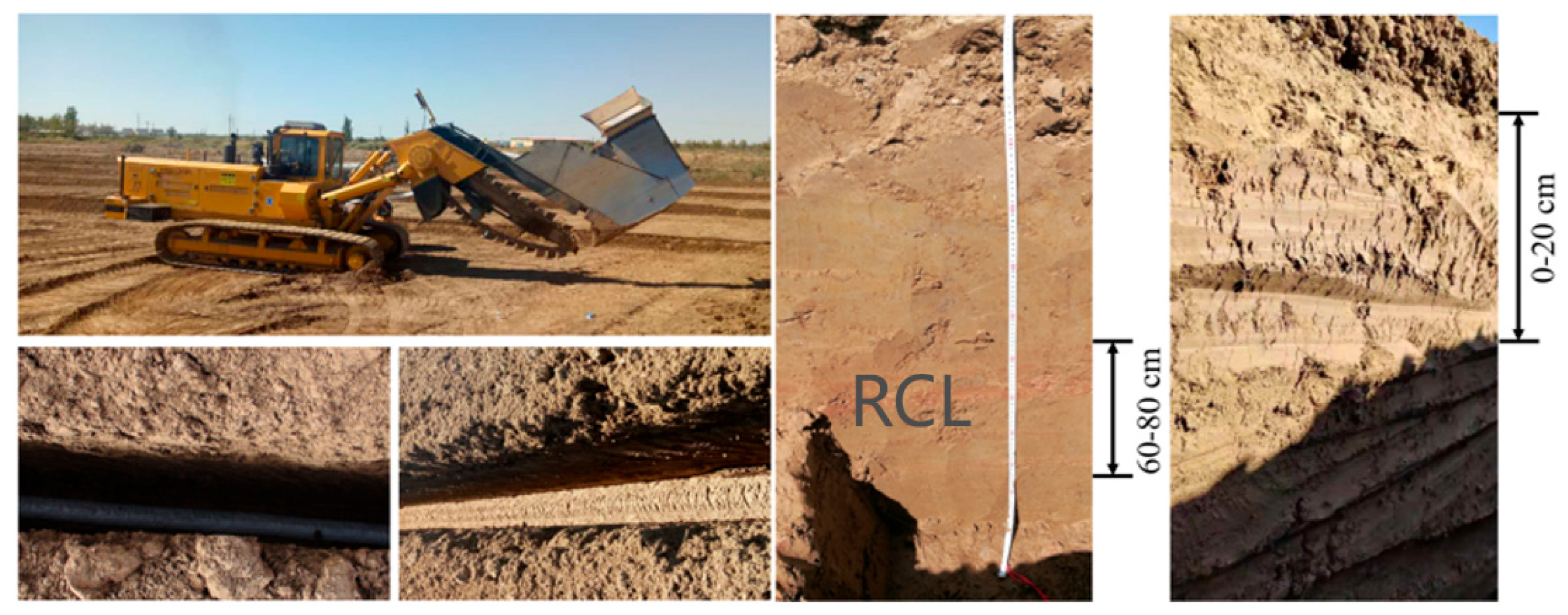 Agronomy 14 00017 g001