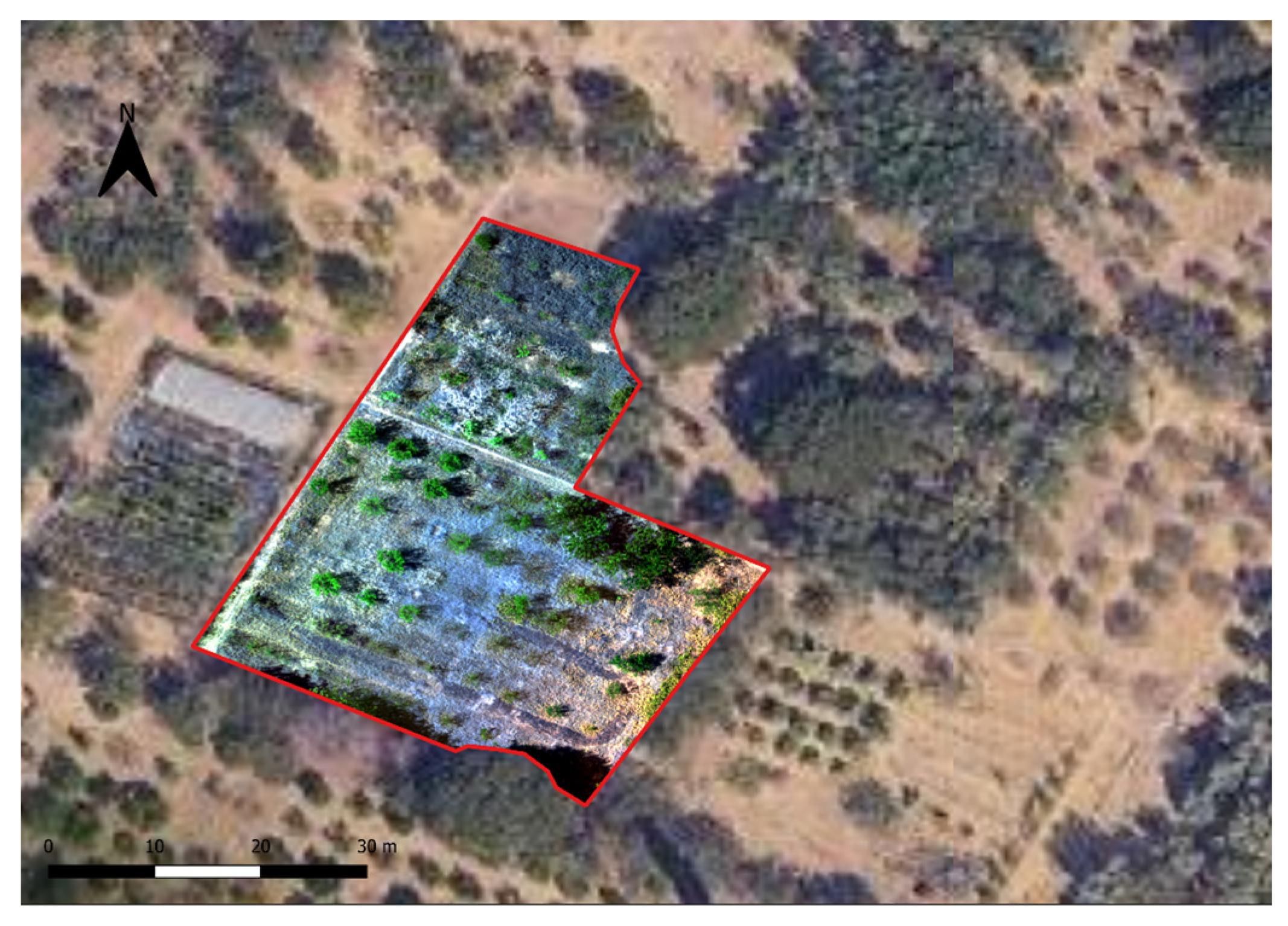 Agronomy 14 00020 g003