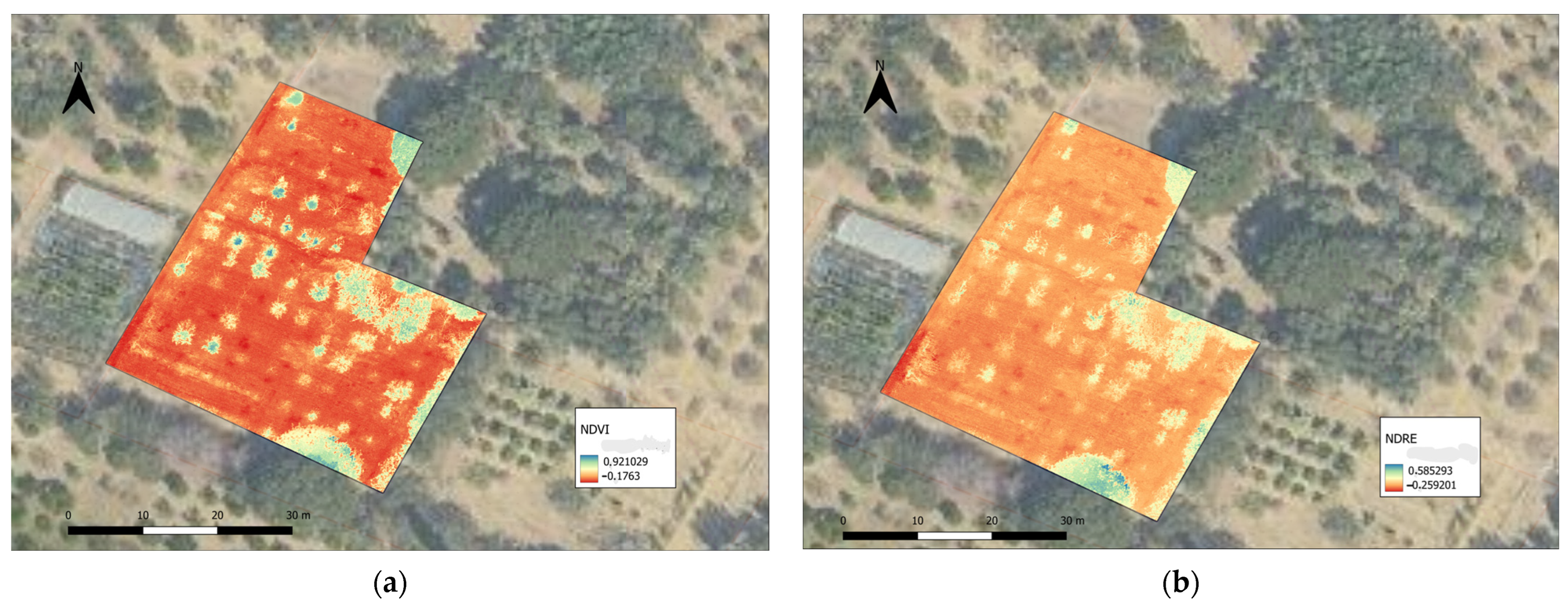 Agronomy 14 00020 g005