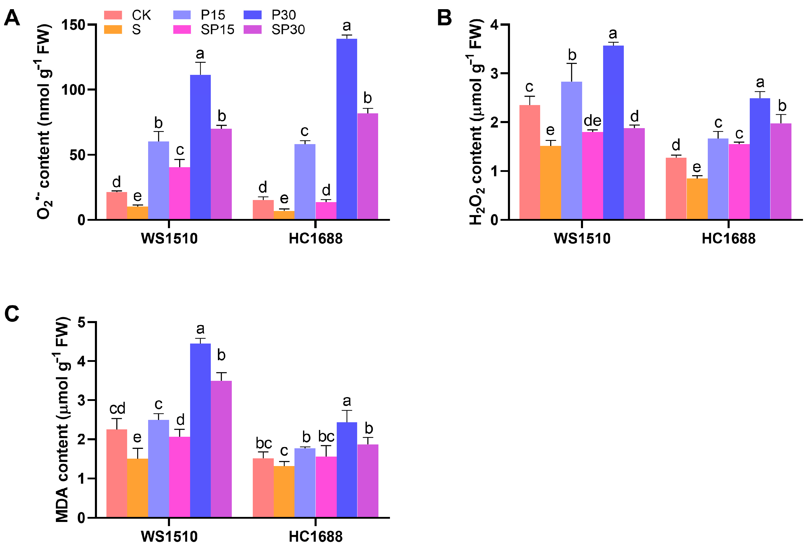 Agronomy 14 00022 g004