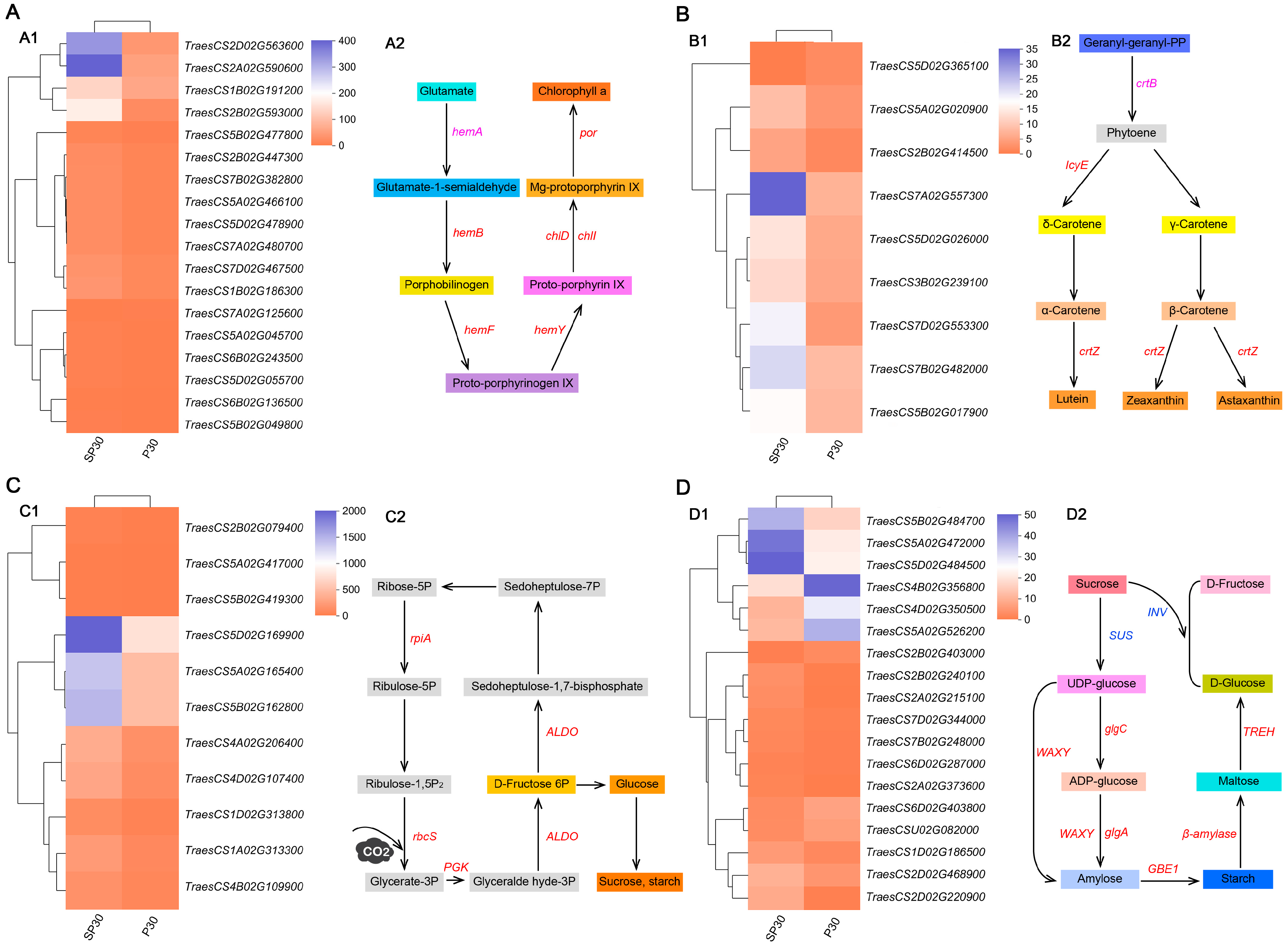 Agronomy 14 00022 g007