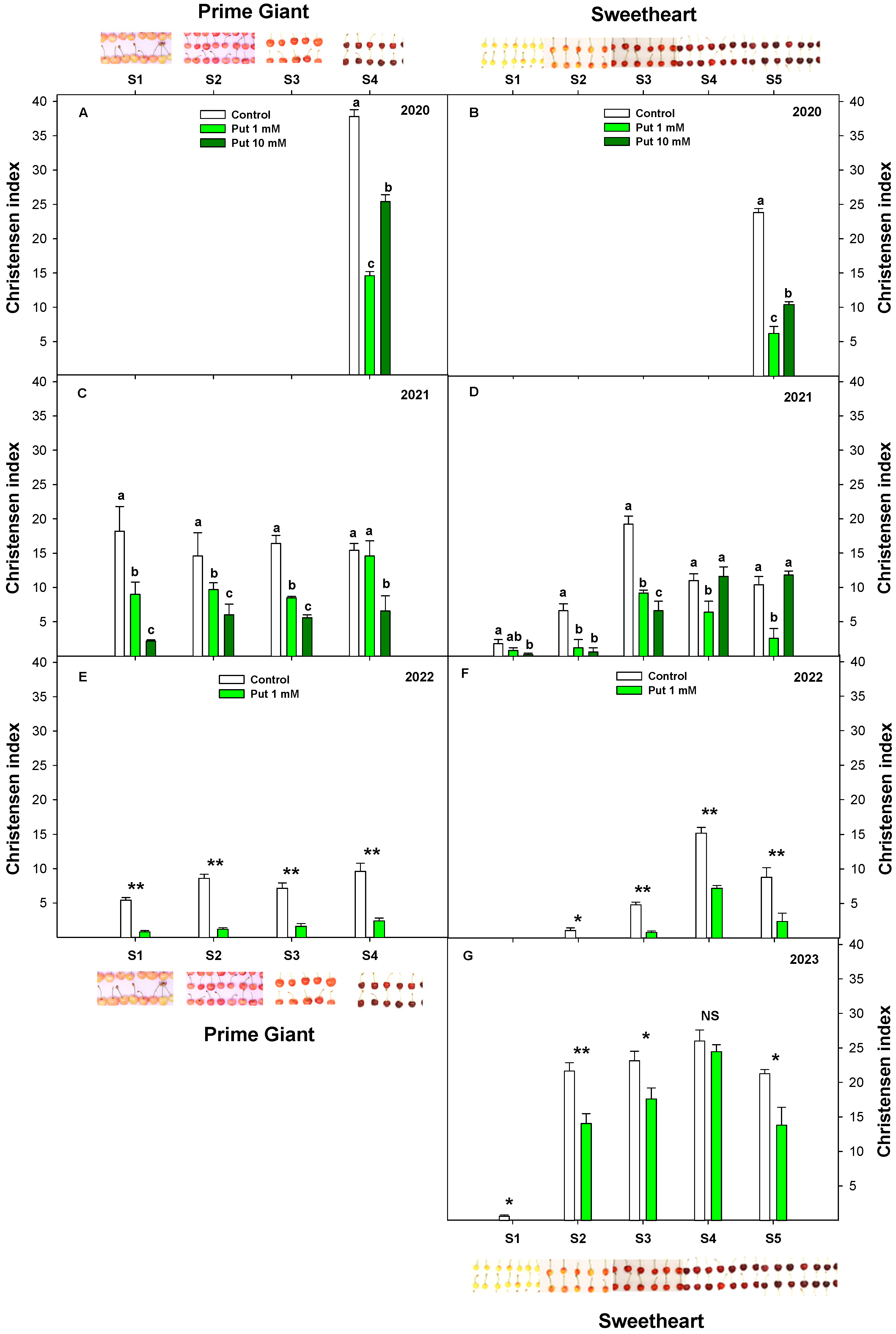Agronomy 14 00023 g005