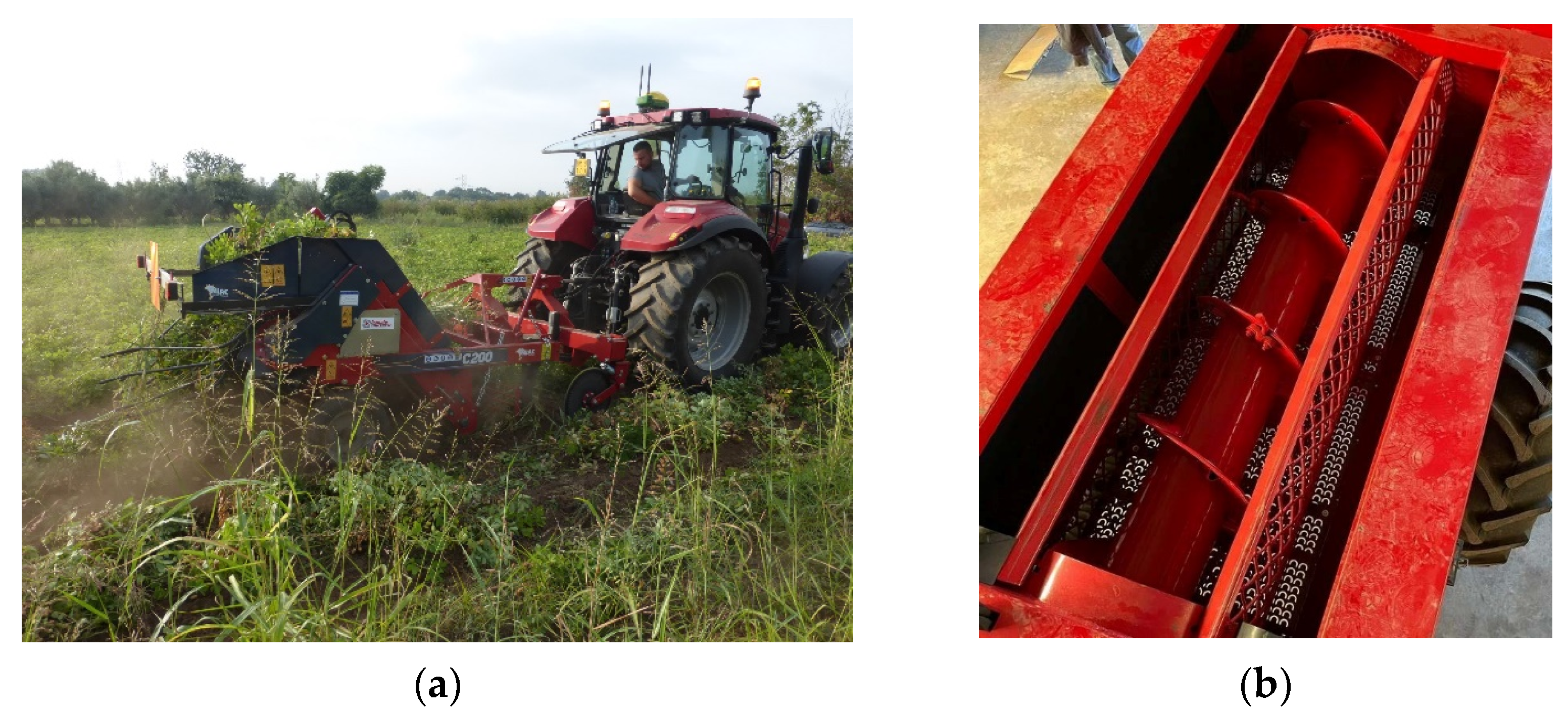 Agronomy 14 00027 g001