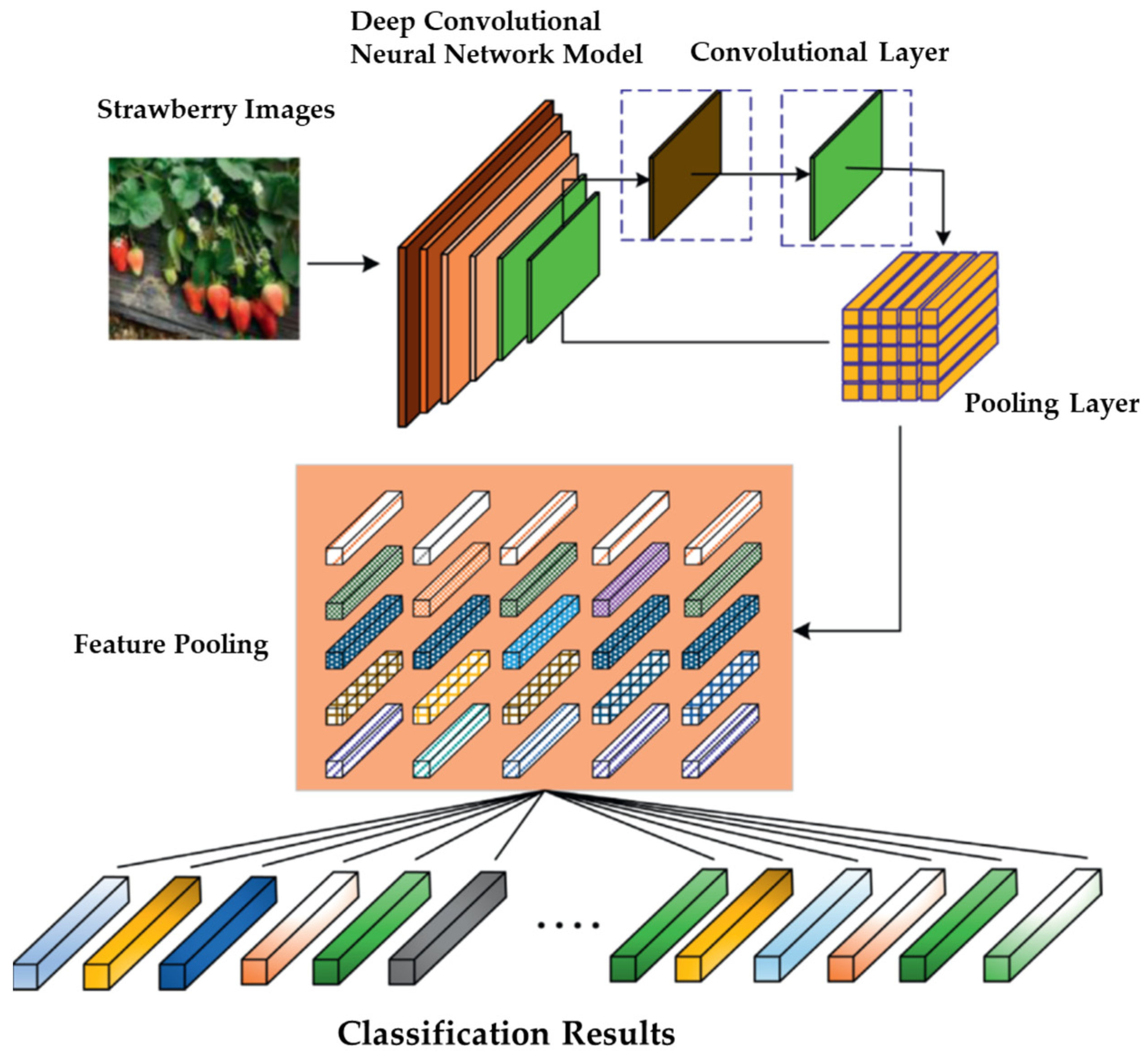 Agronomy 14 00034 g001