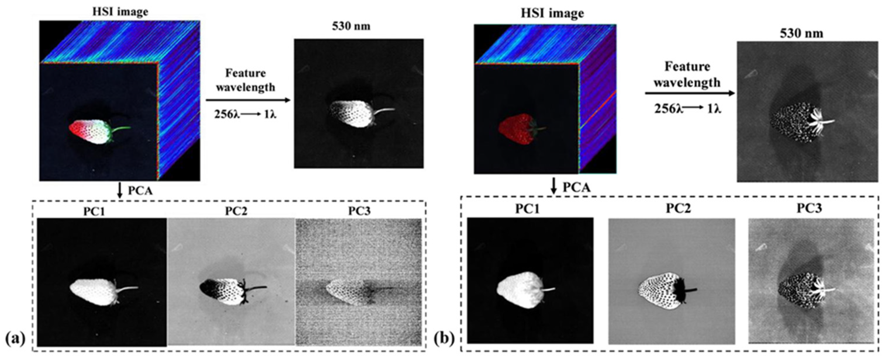 Agronomy 14 00034 g005