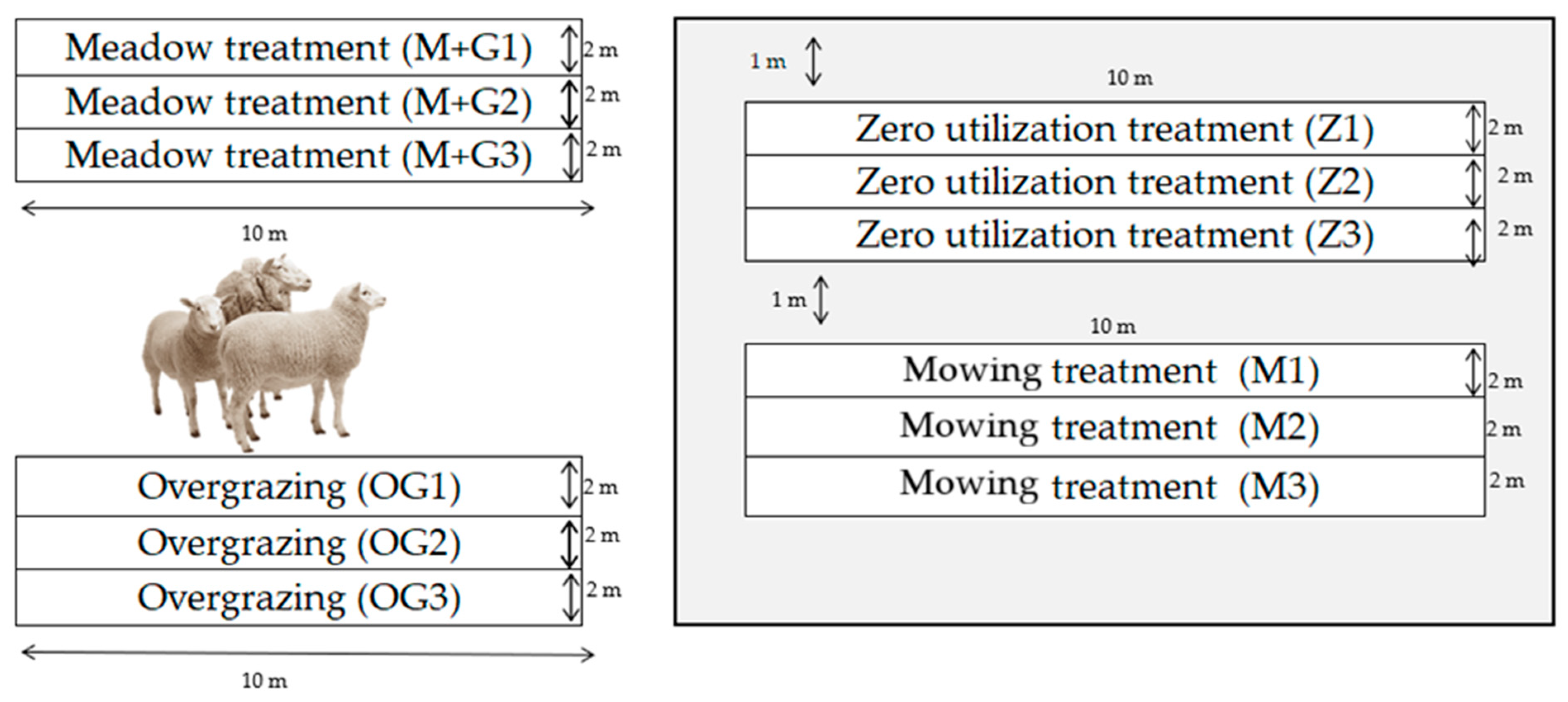 Agronomy 14 00035 g001