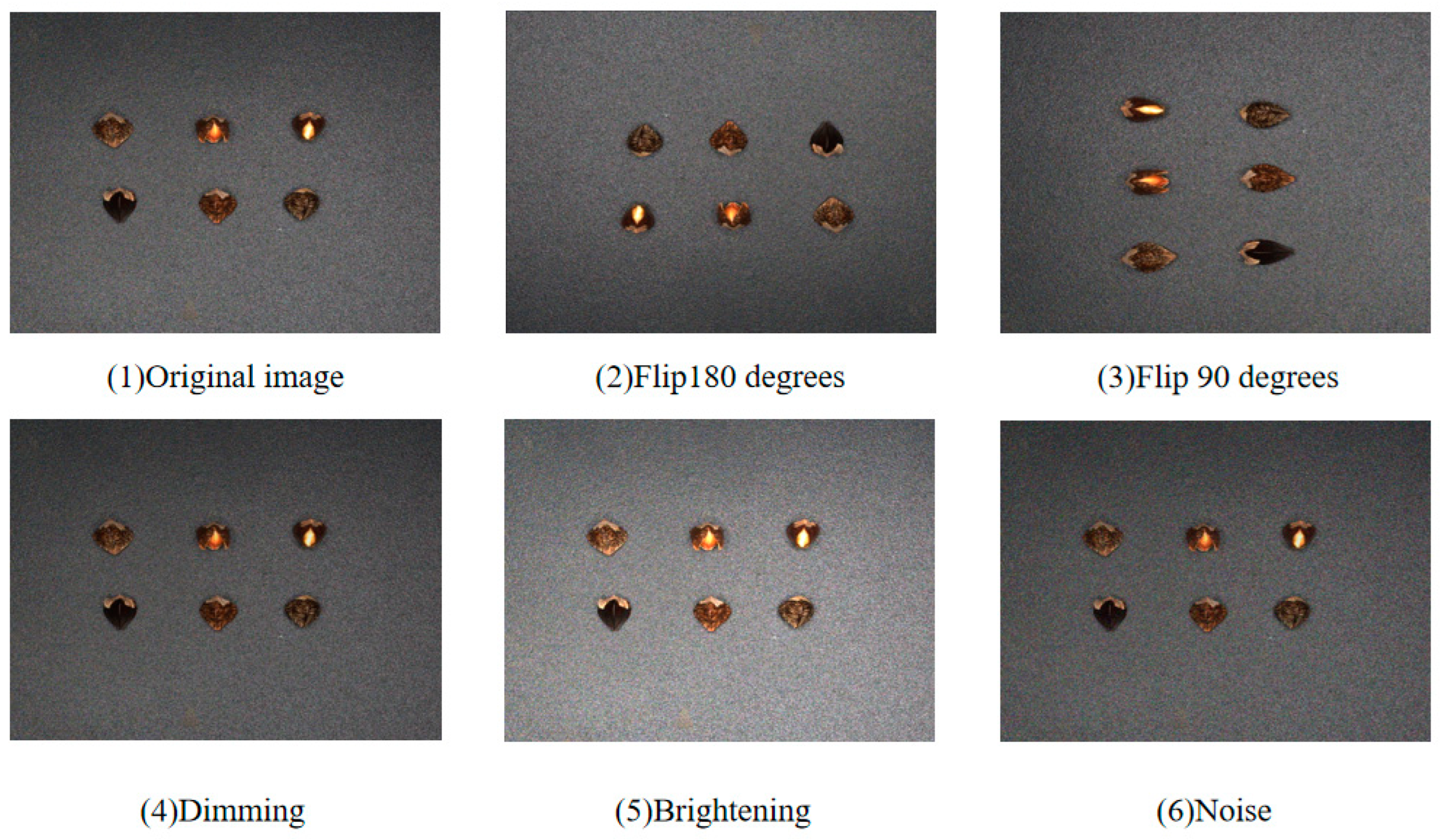 Agronomy 14 00037 g003