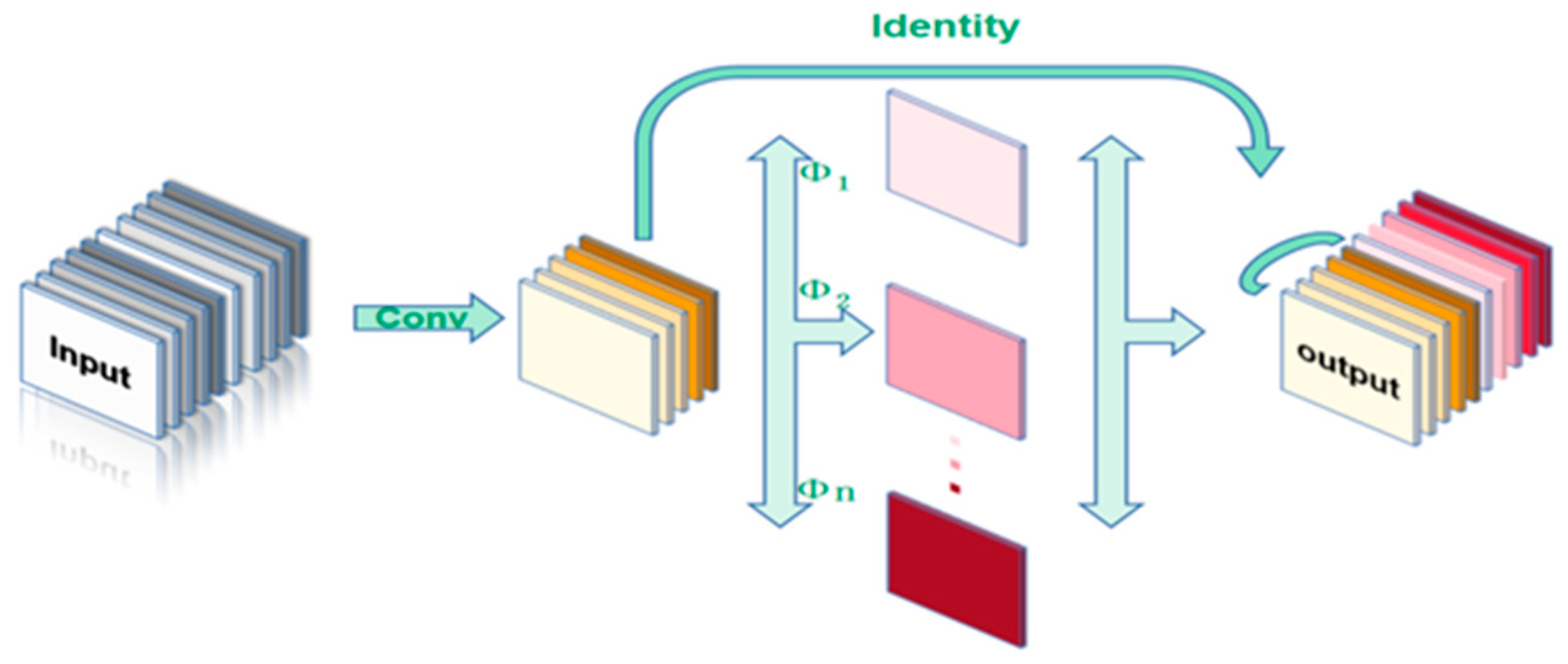 Agronomy 14 00037 g008