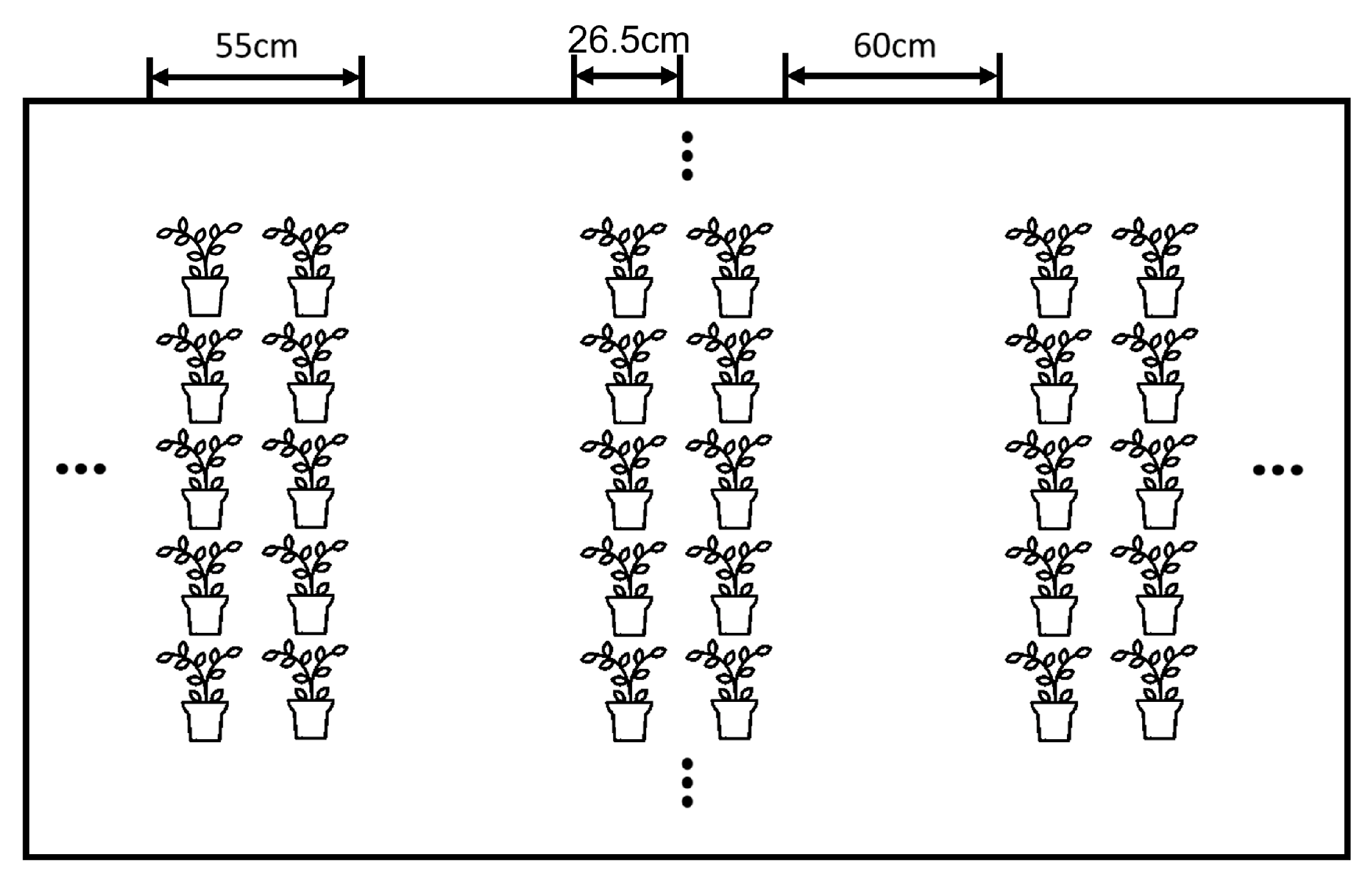 Agronomy 14 00049 g001