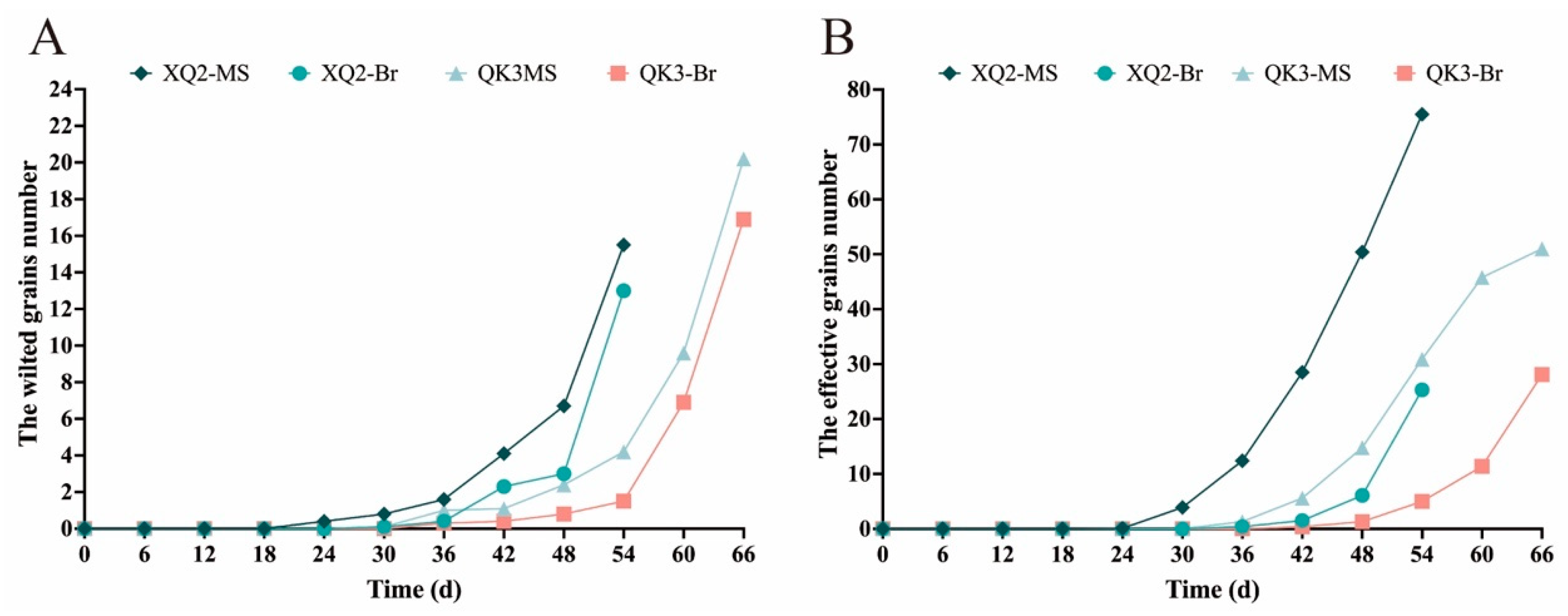 Agronomy 14 00049 g004