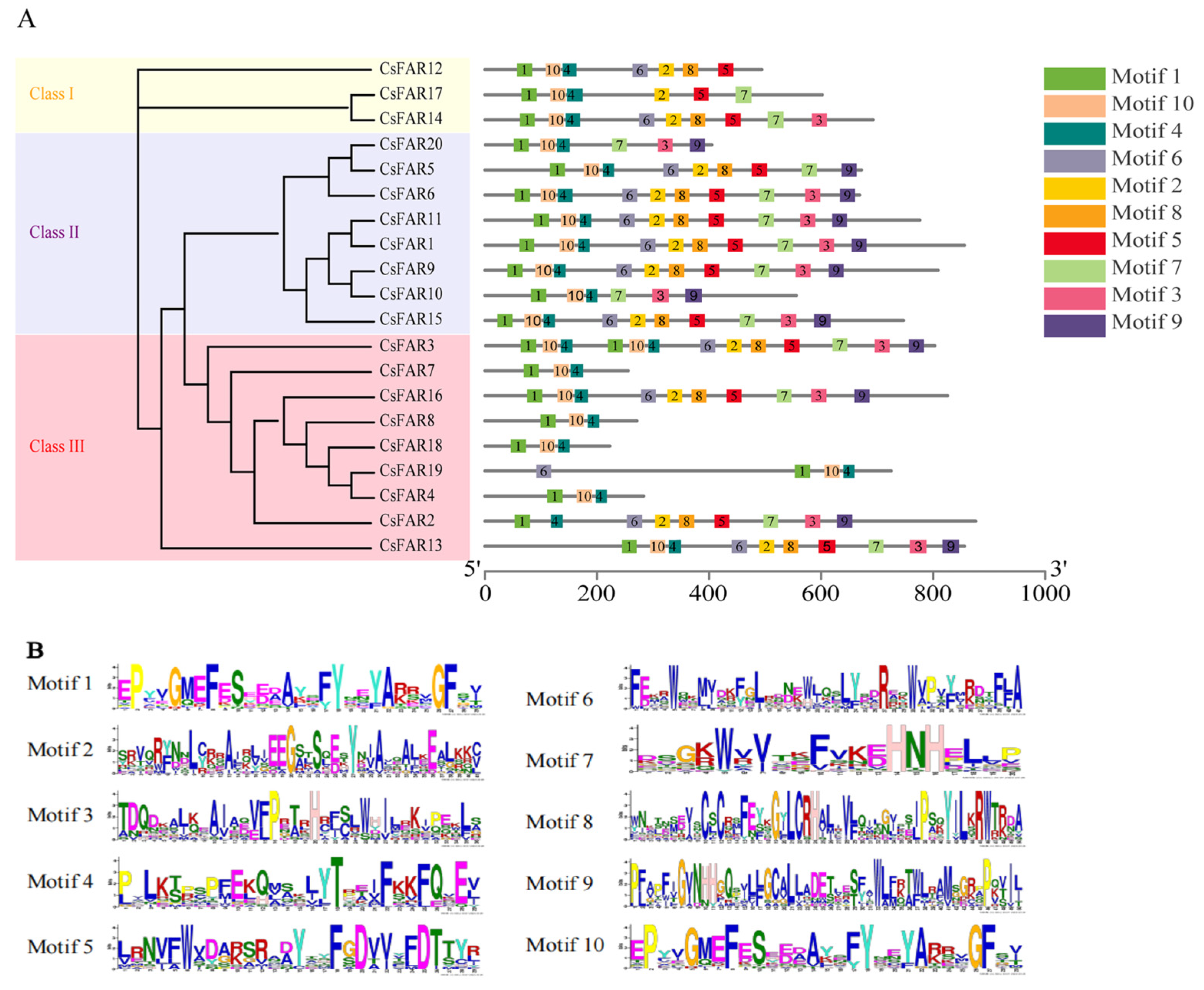 Agronomy 14 00050 g002