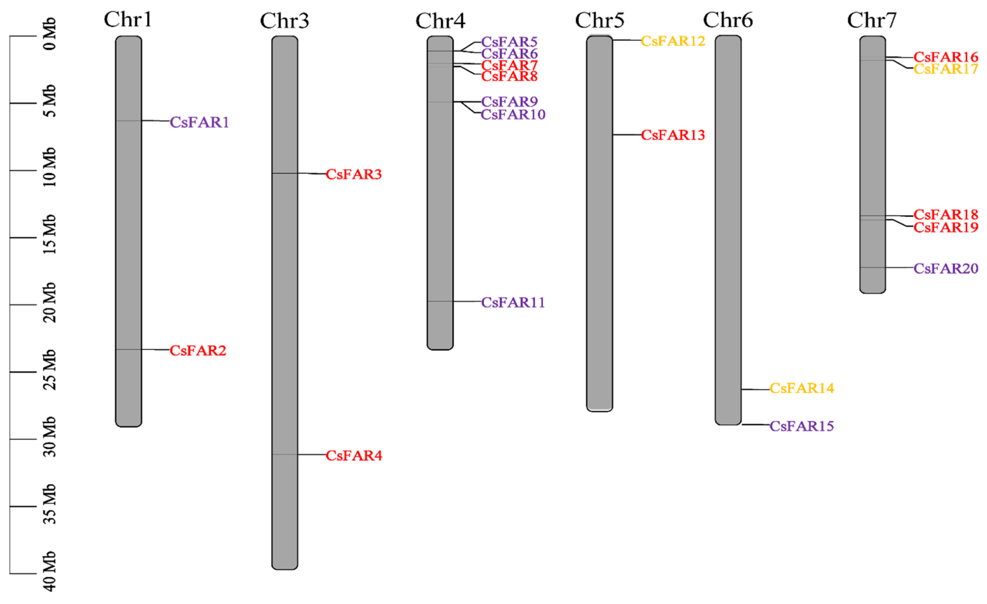 Agronomy 14 00050 g003