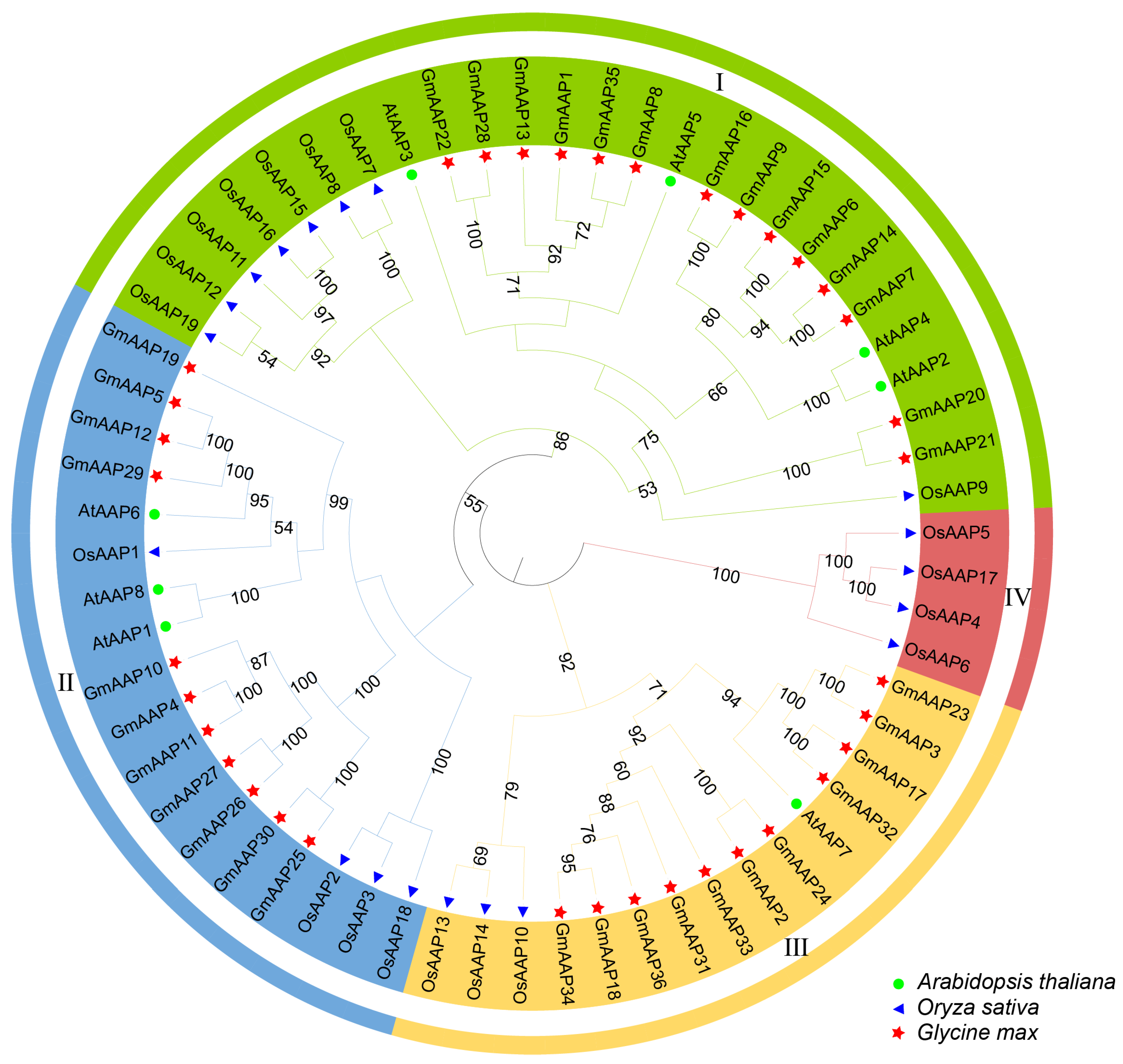 Agronomy 14 00052 g002