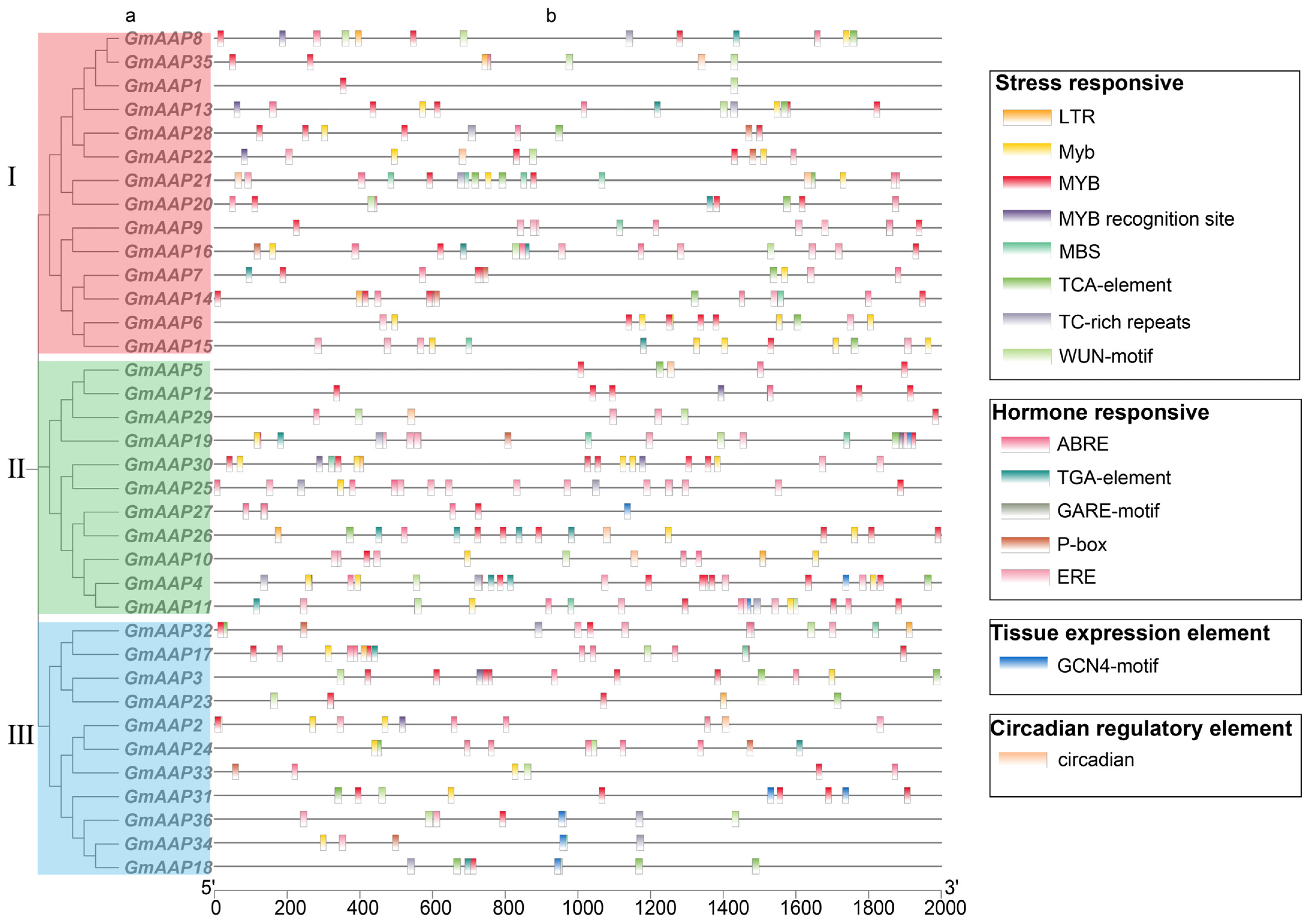 Agronomy 14 00052 g005