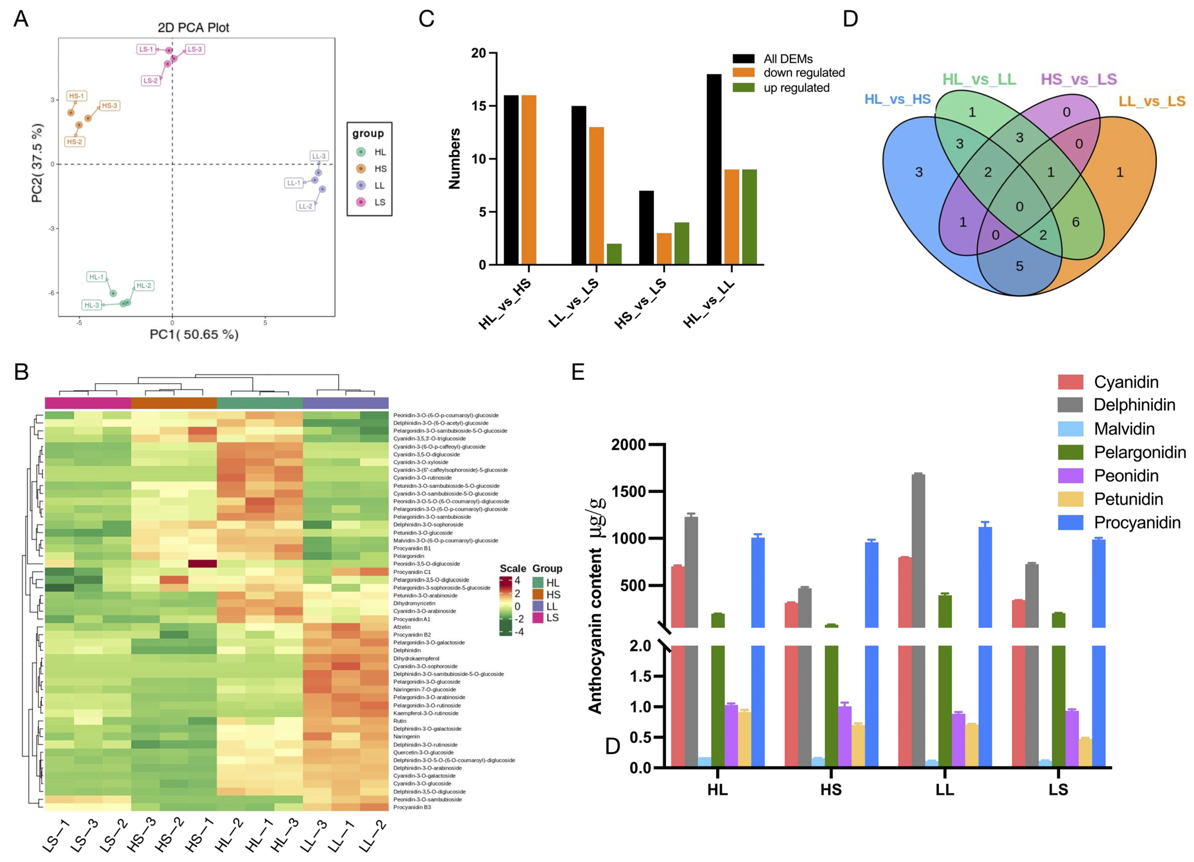 Agronomy 14 00056 g002