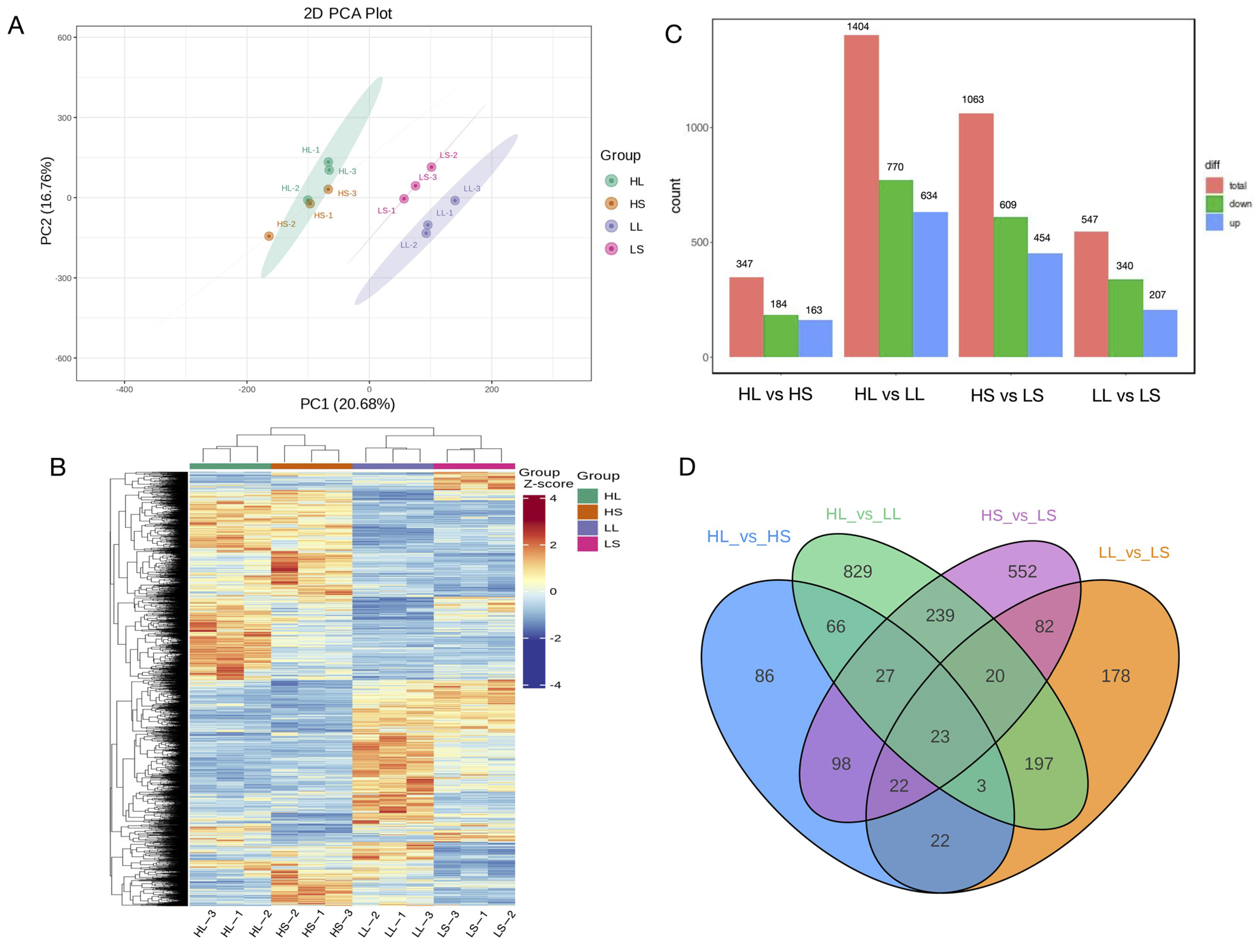Agronomy 14 00056 g003