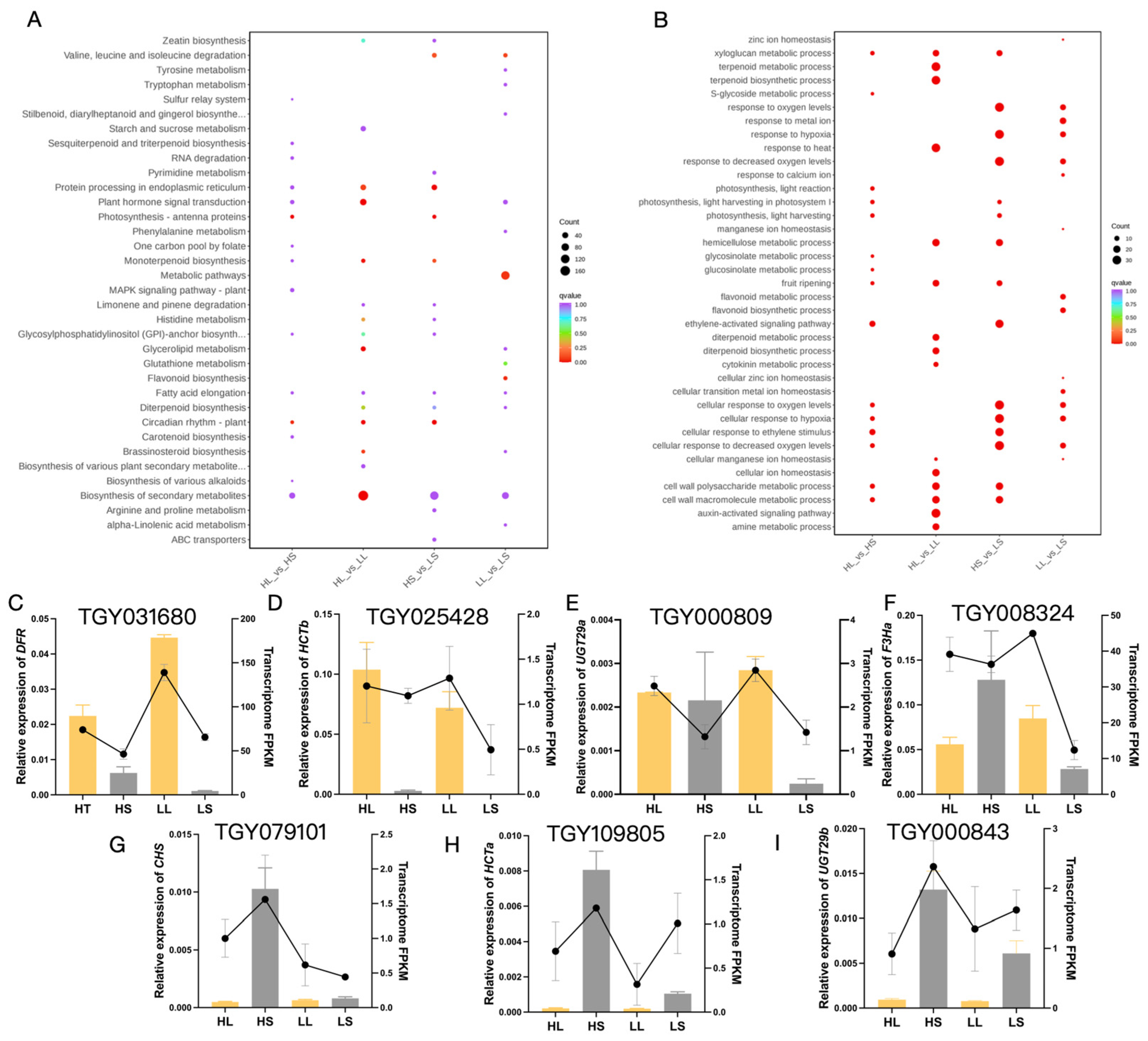 Agronomy 14 00056 g004