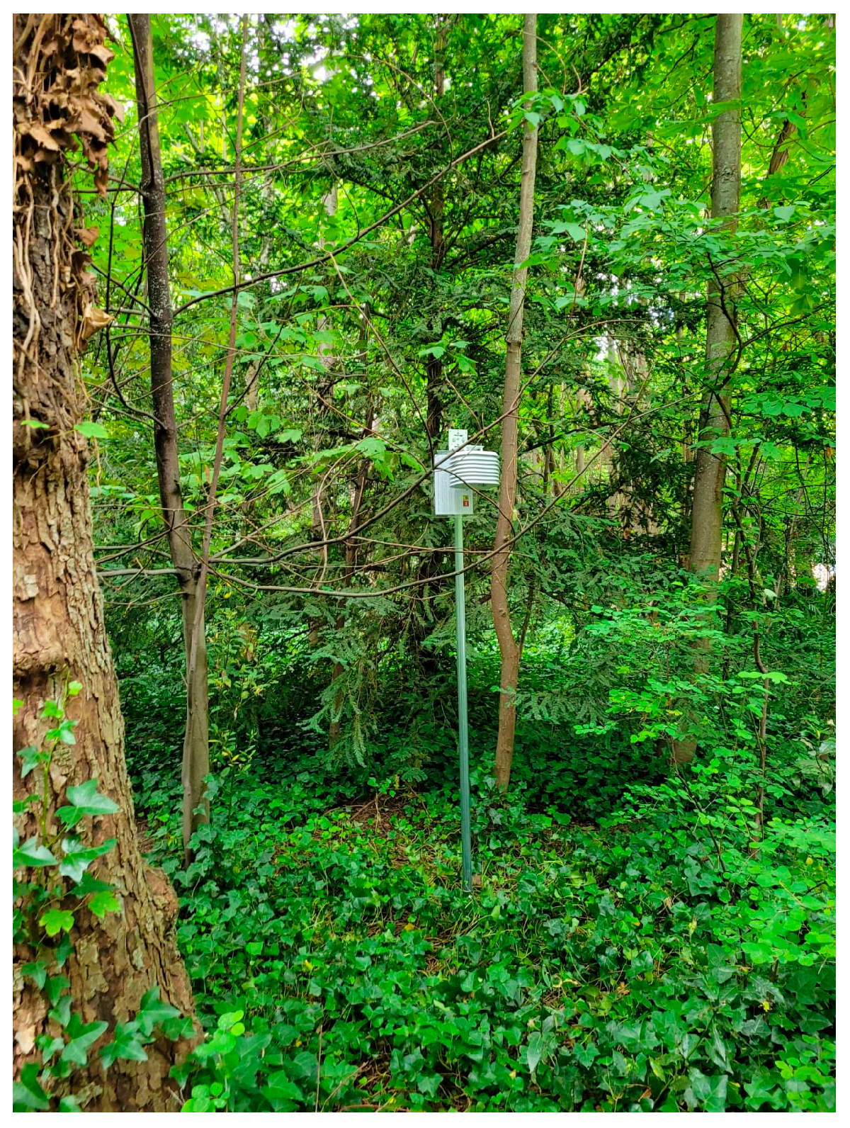 Agronomy 14 00060 g003