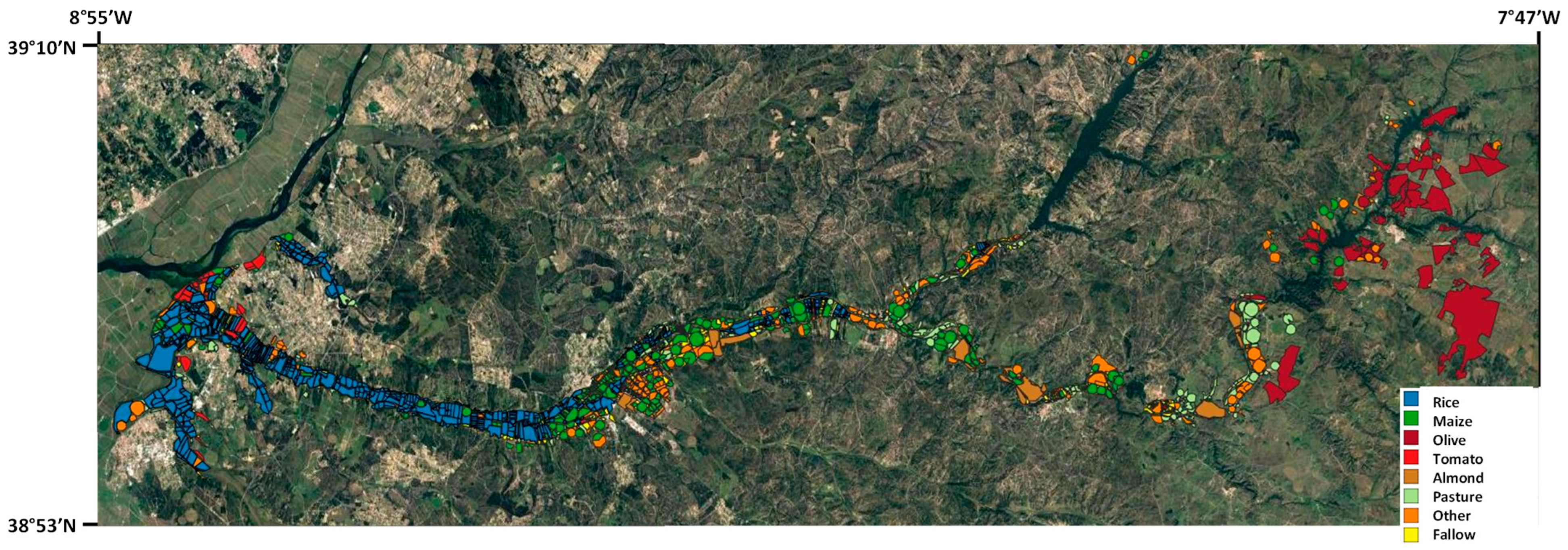 Agronomy 14 00066 g001