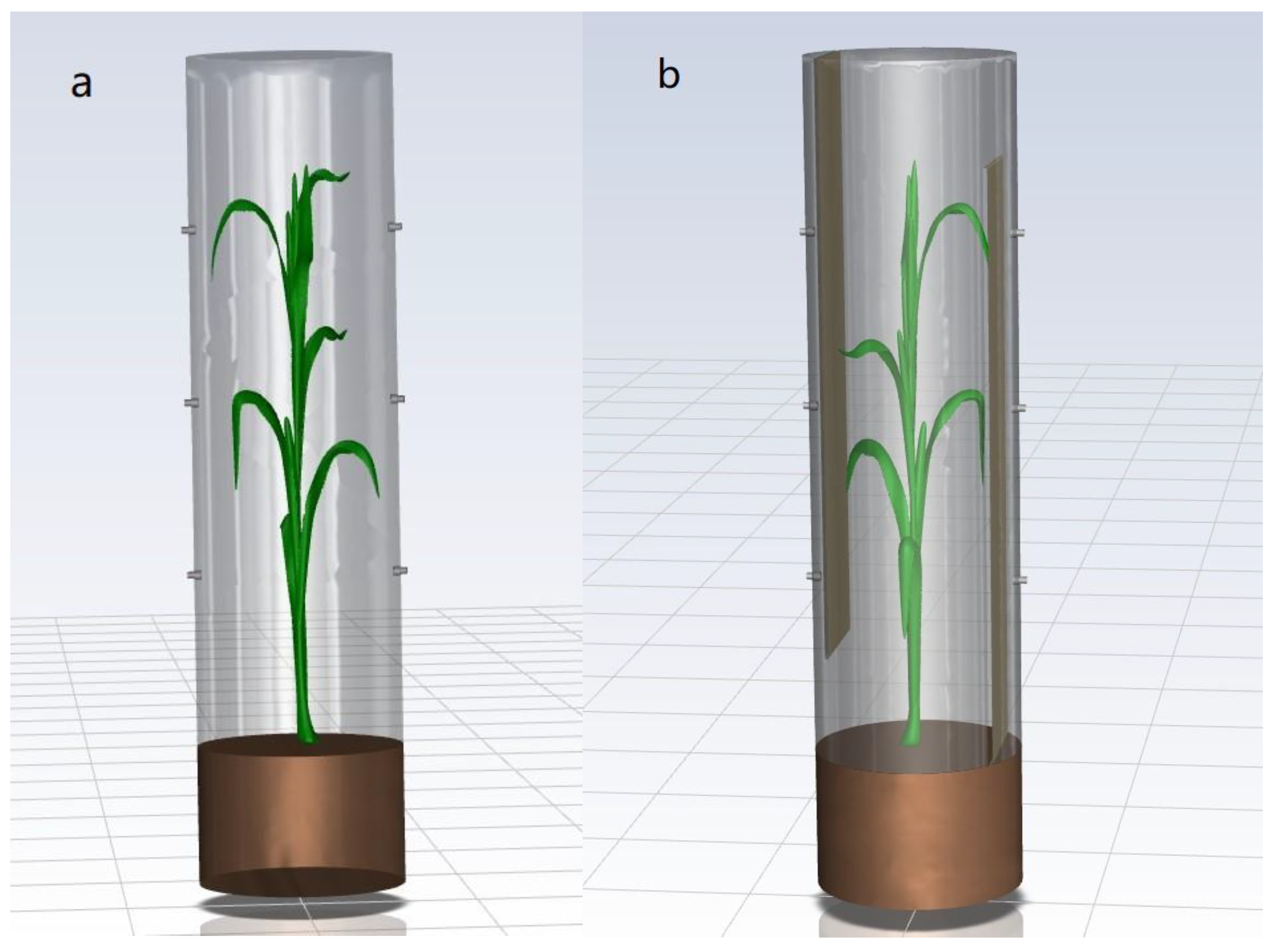 Agronomy 14 00068 g002