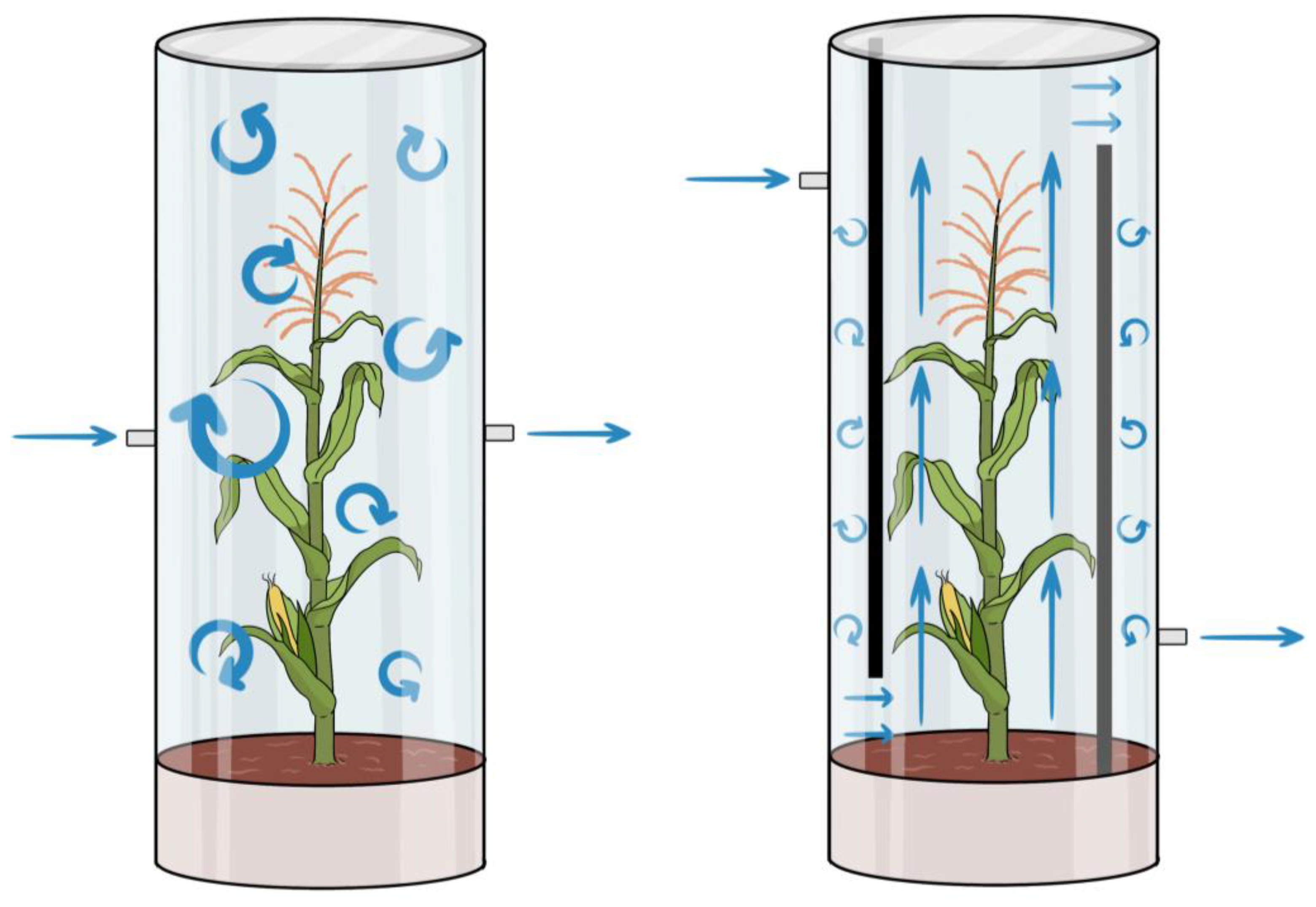 Agronomy 14 00068 g005