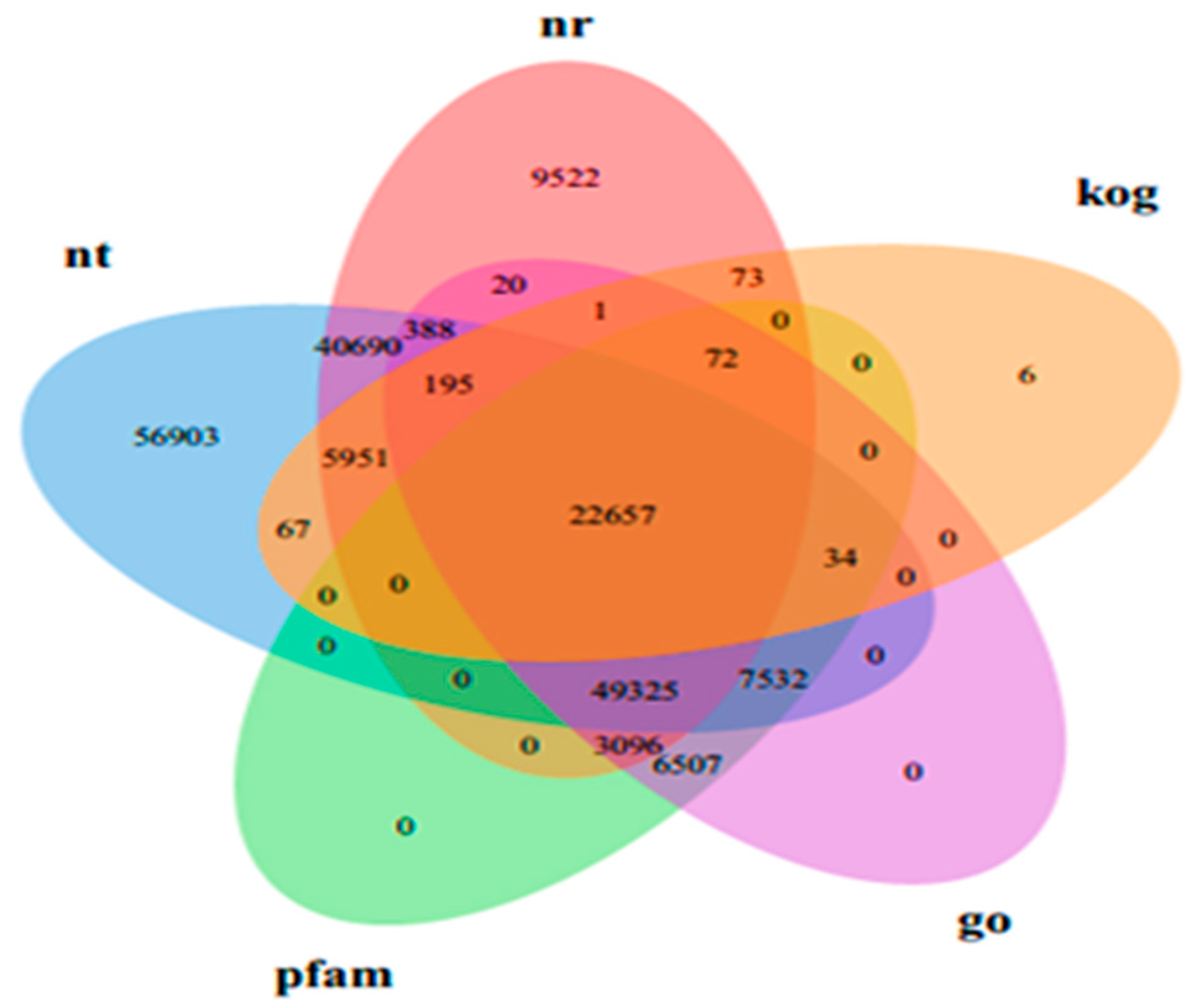 Agronomy 14 00069 g001