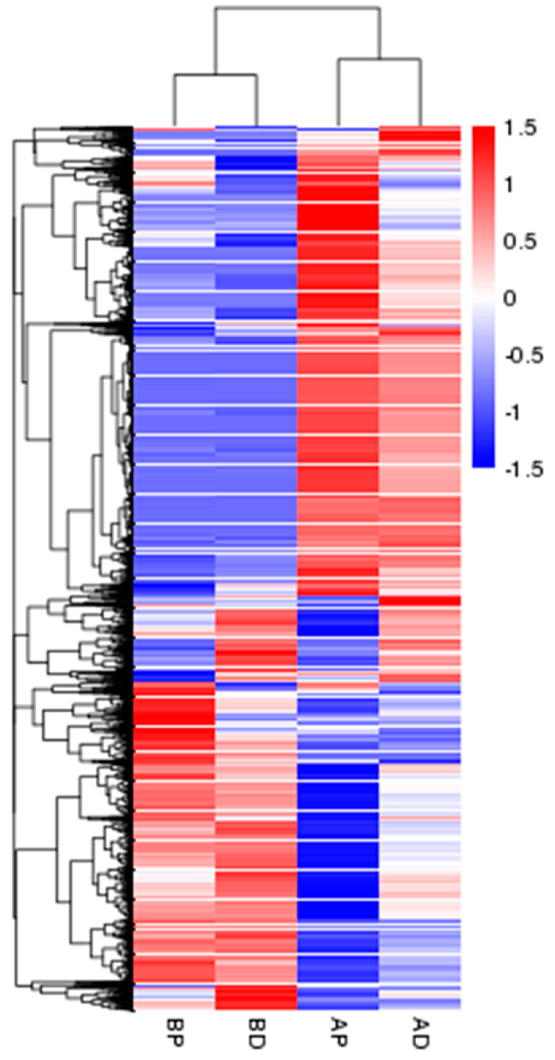 Agronomy 14 00069 g005