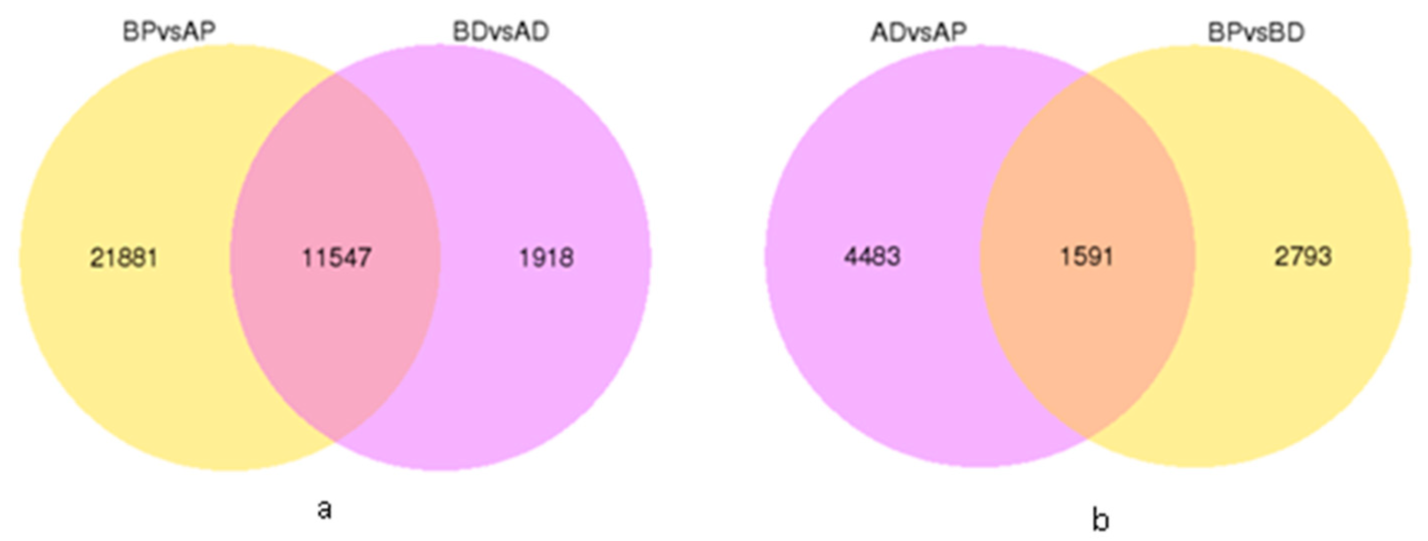 Agronomy 14 00069 g006
