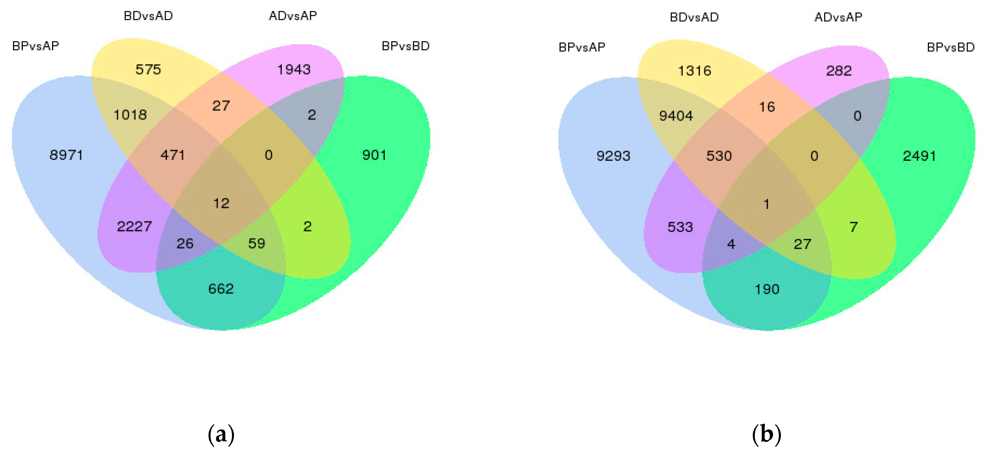 Agronomy 14 00069 g007