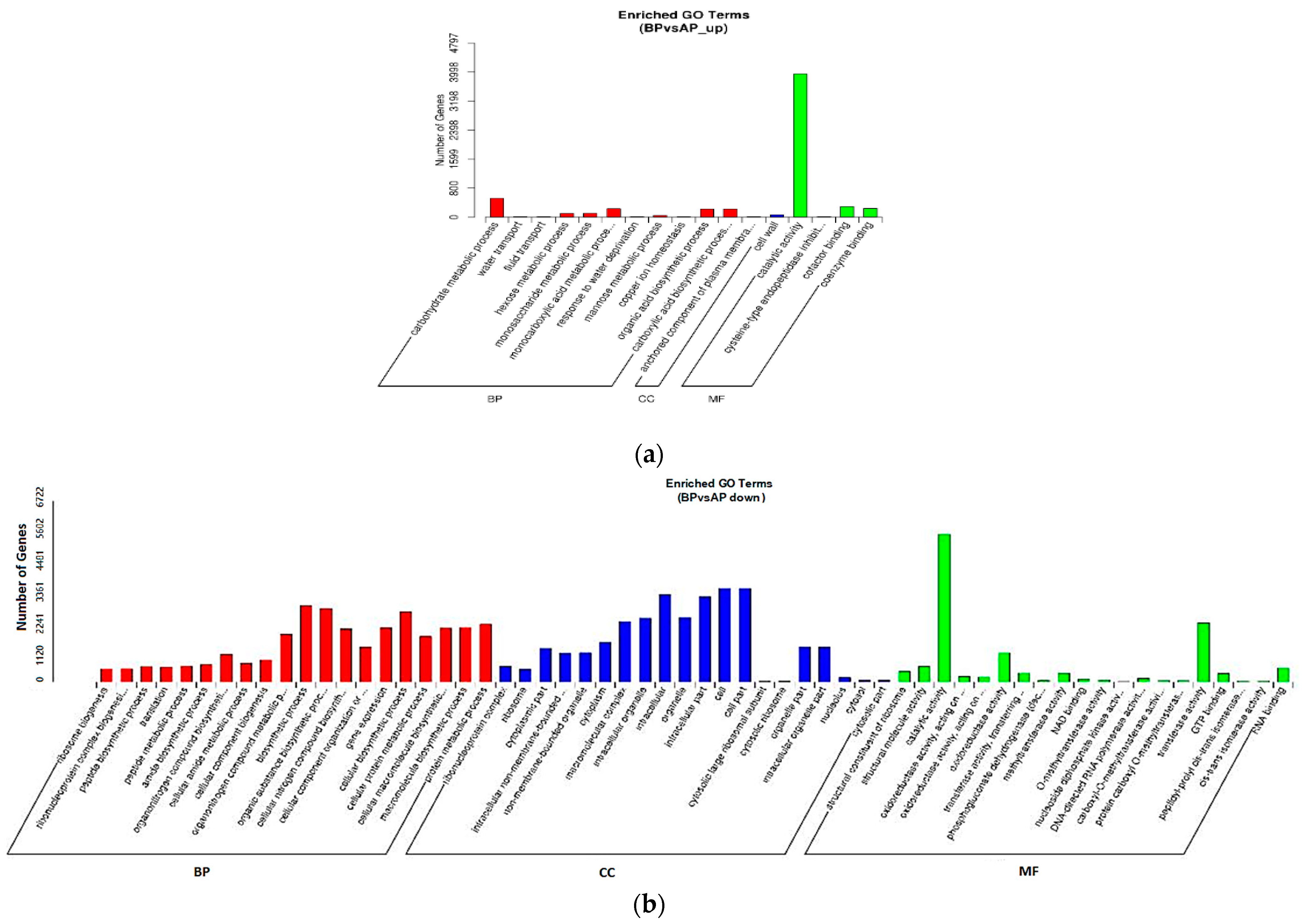 Agronomy 14 00069 g008