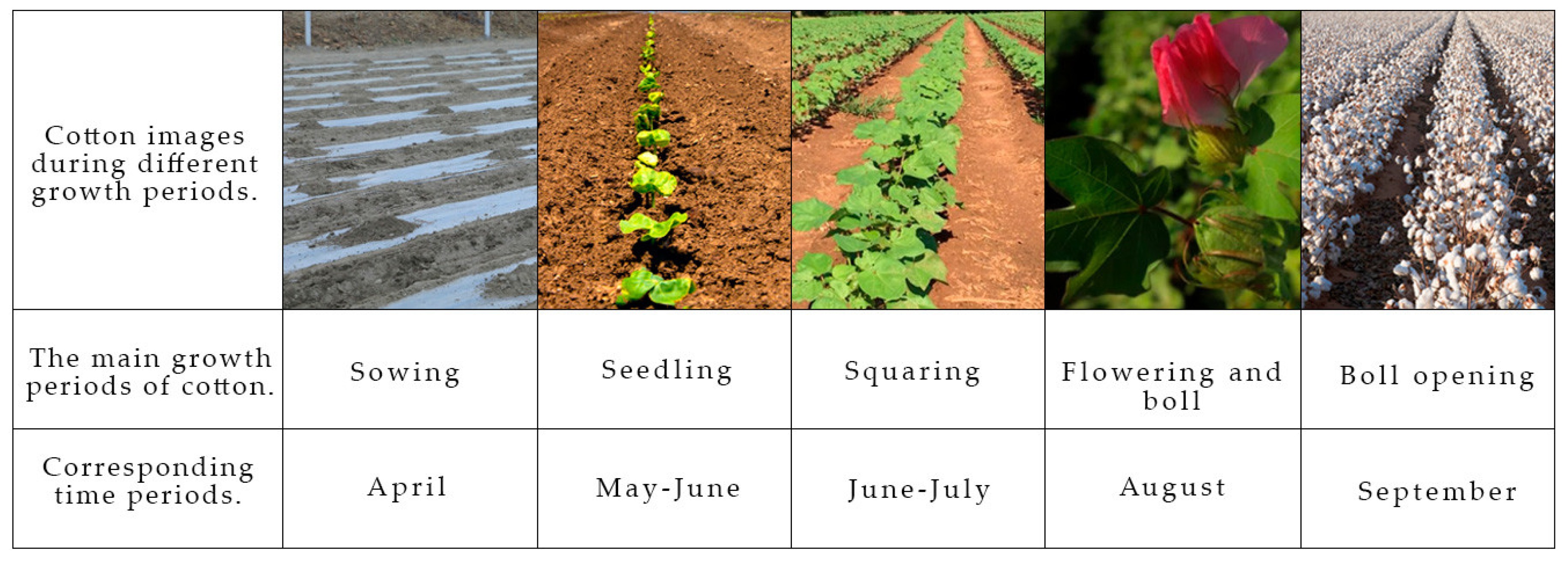 Agronomy 14 00075 g002