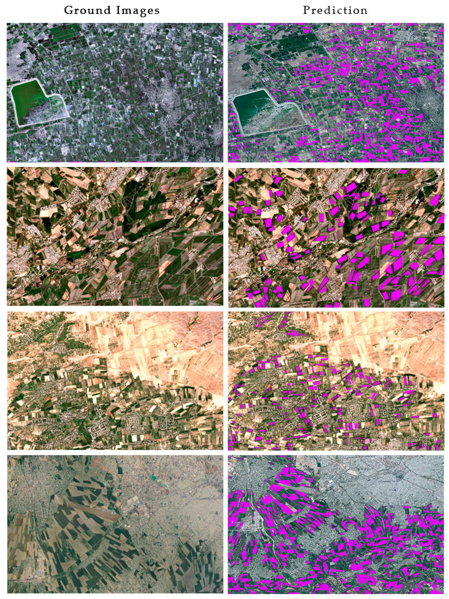 Agronomy 14 00075 g014