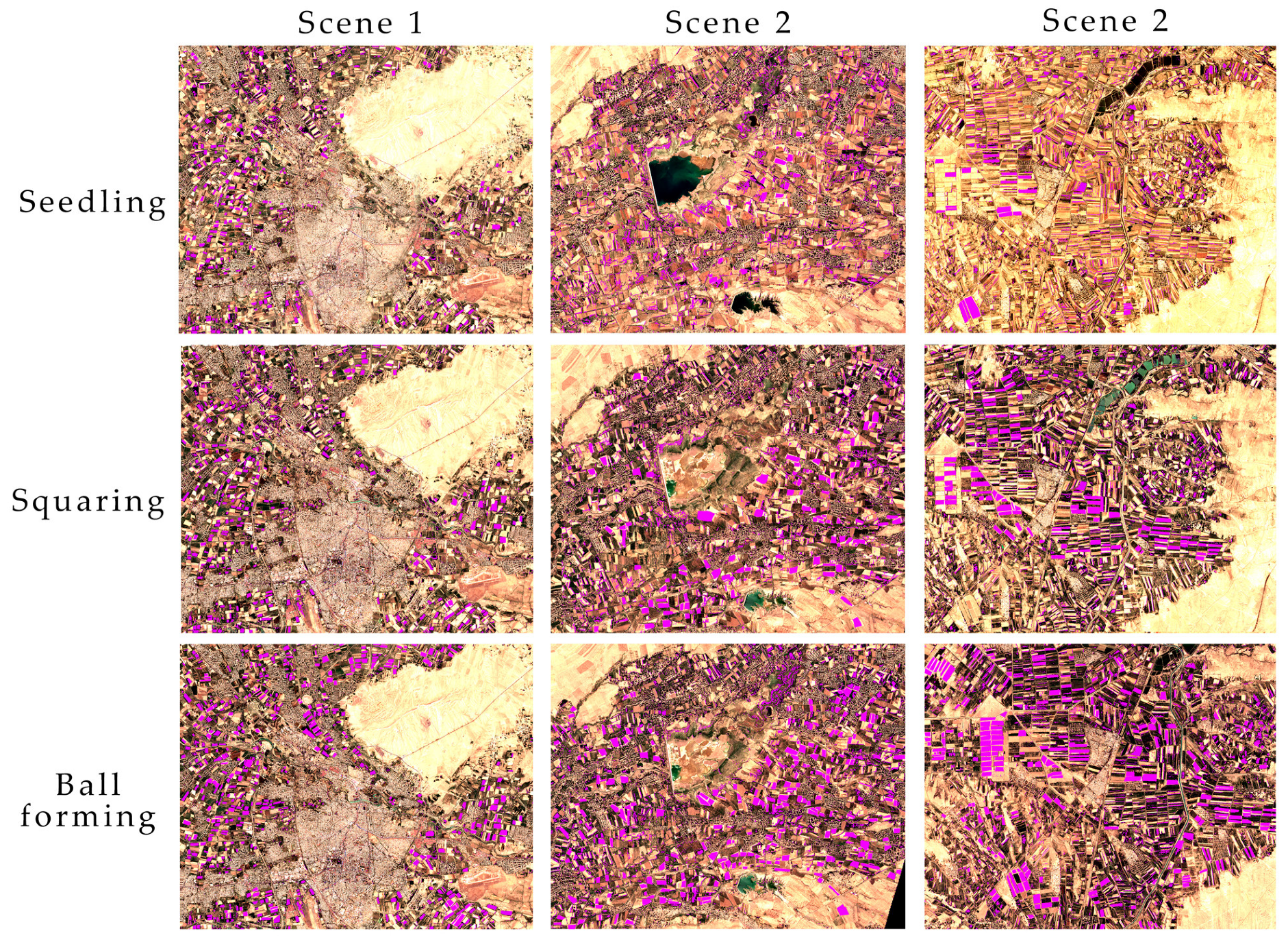 Agronomy 14 00075 g018