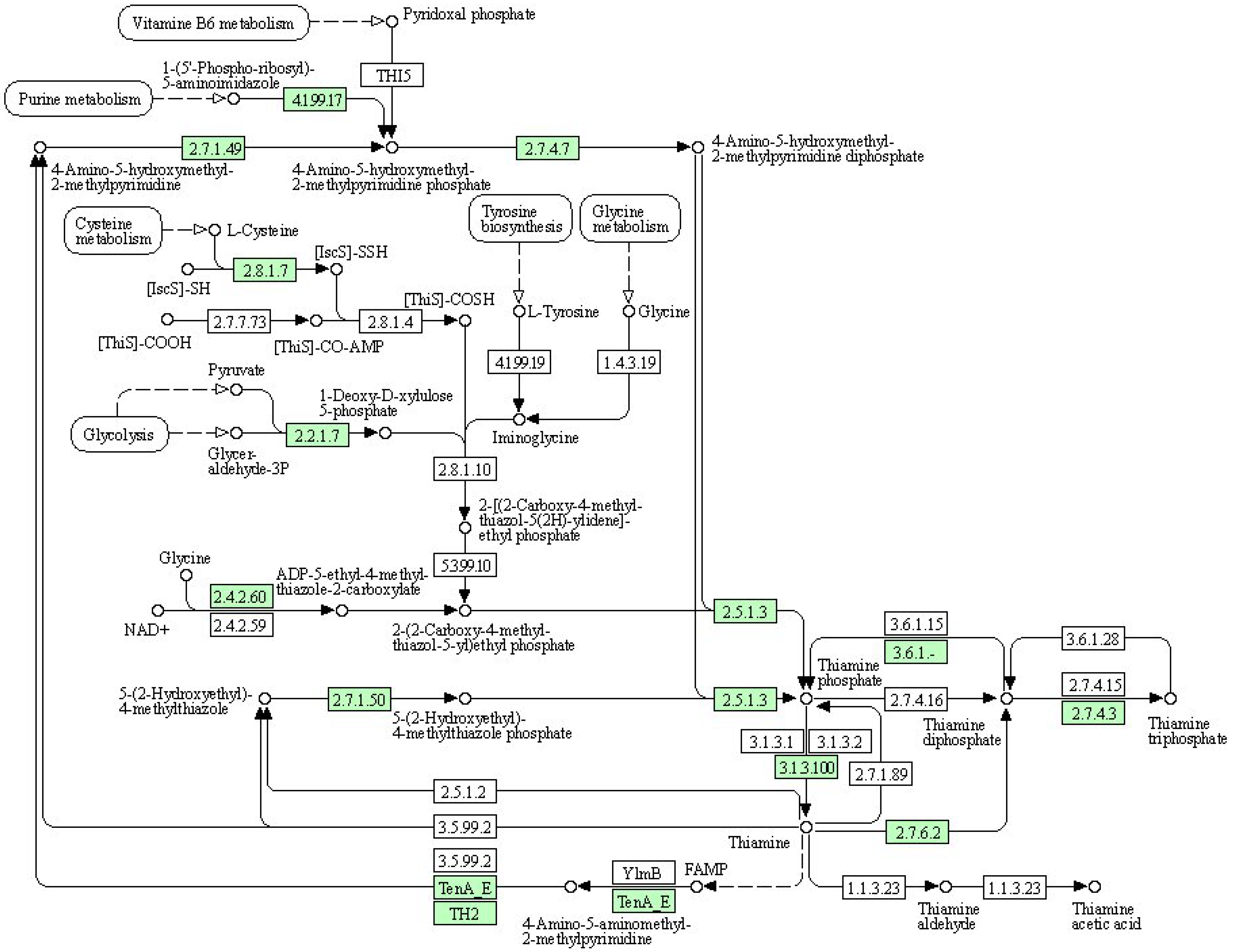 Agronomy 14 00078 g006
