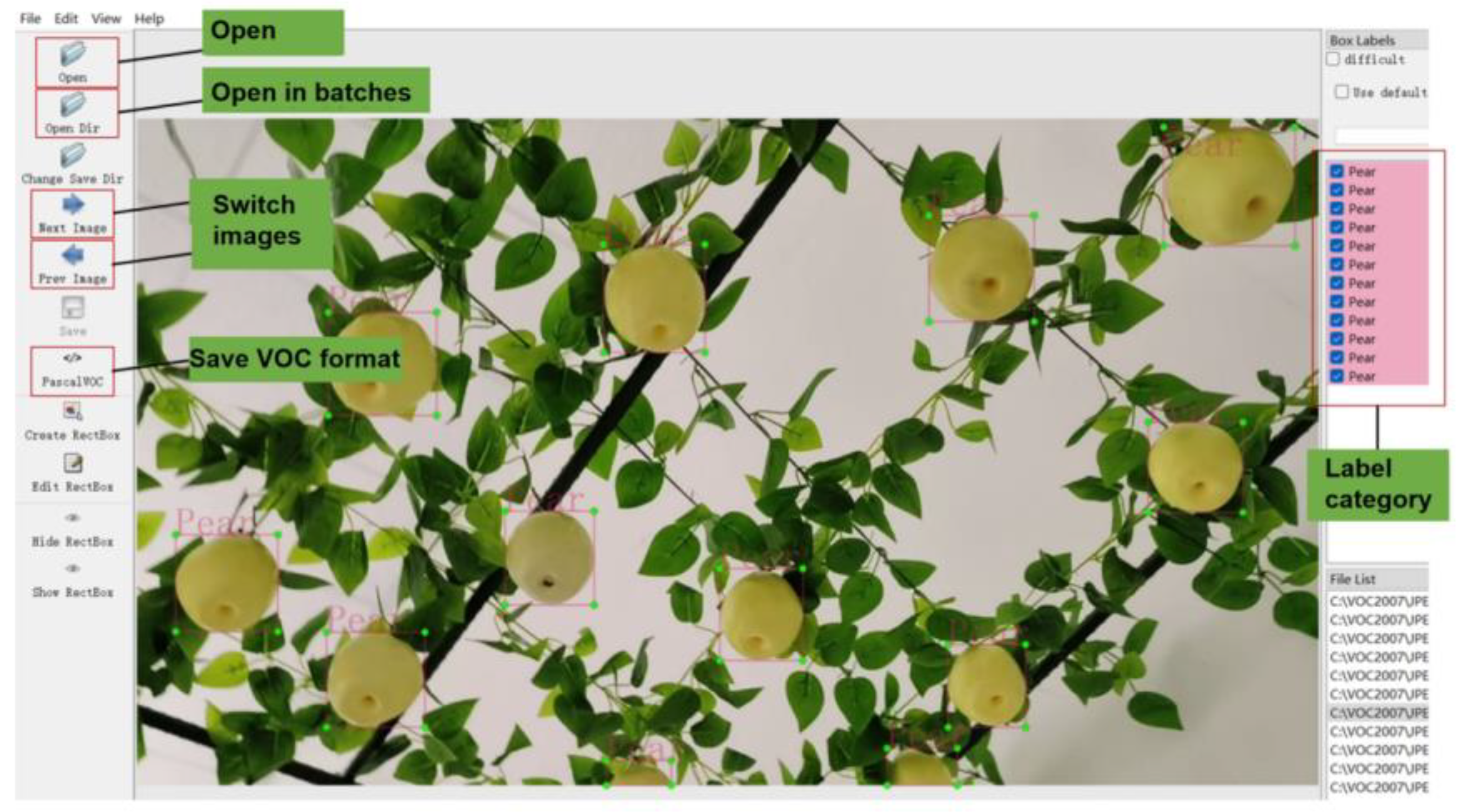 Agronomy 14 00080 g004